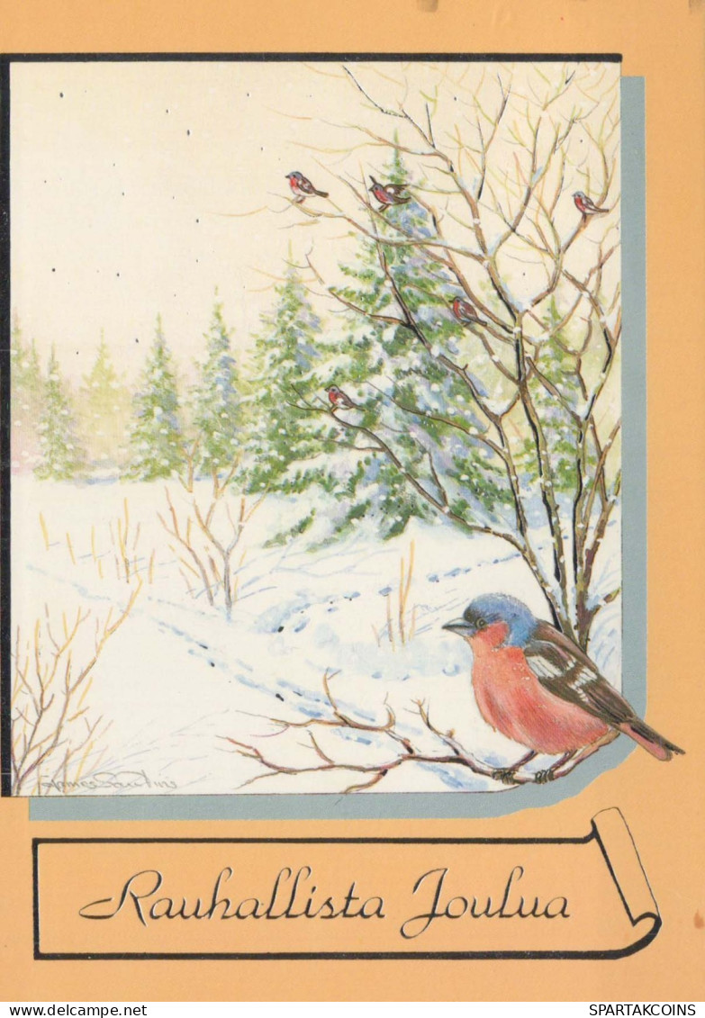 PÁJARO Animales Vintage Tarjeta Postal CPSM #PBR521.ES - Birds