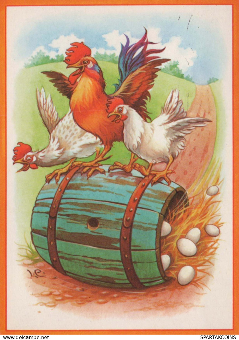 PÁJARO Animales Vintage Tarjeta Postal CPSM #PBR584.ES - Birds