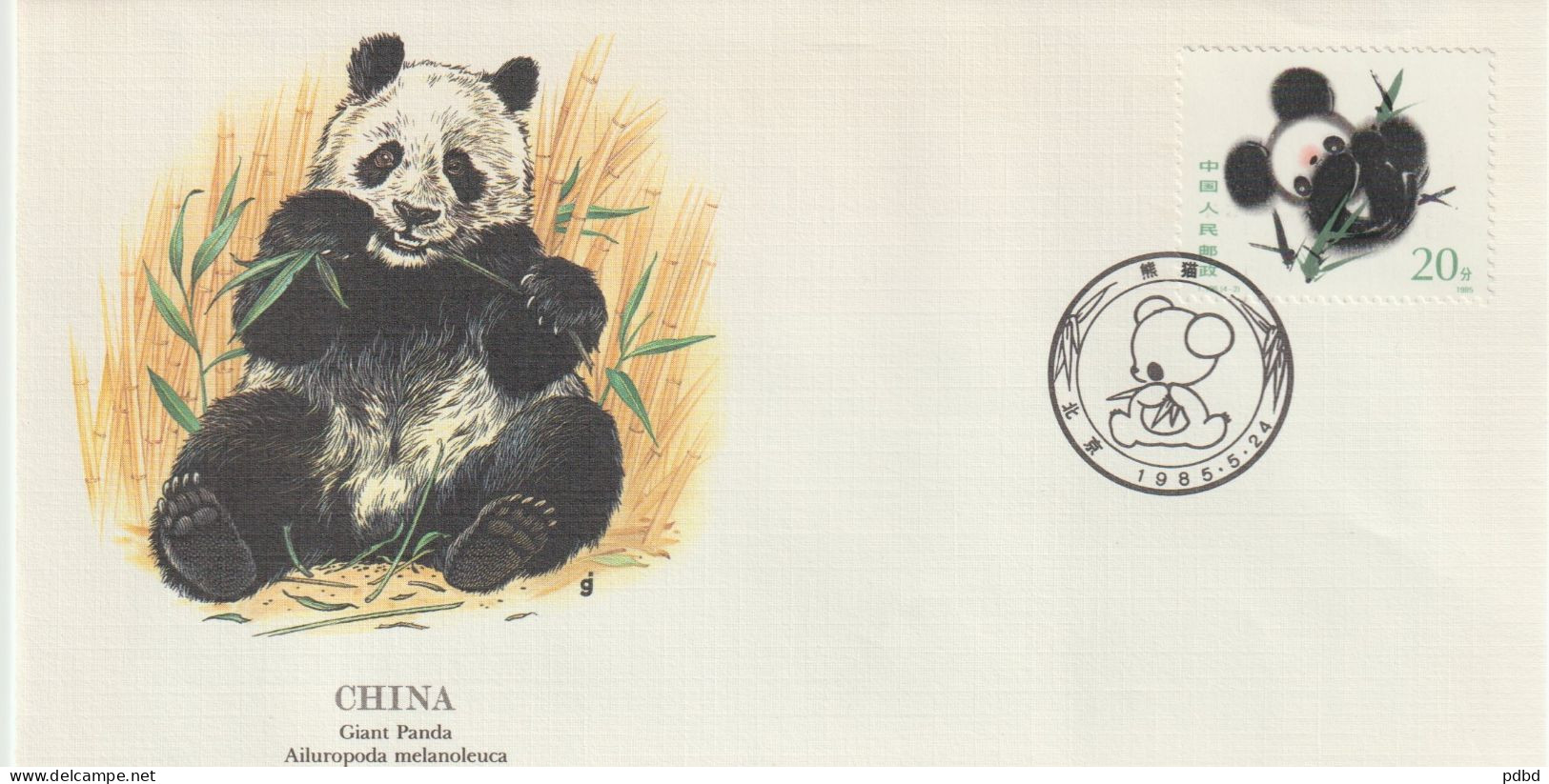 FT 30 . Chine . Panda . Oblitération . Enveloppe Illustrée . 24 05 1985 . - Covers & Documents