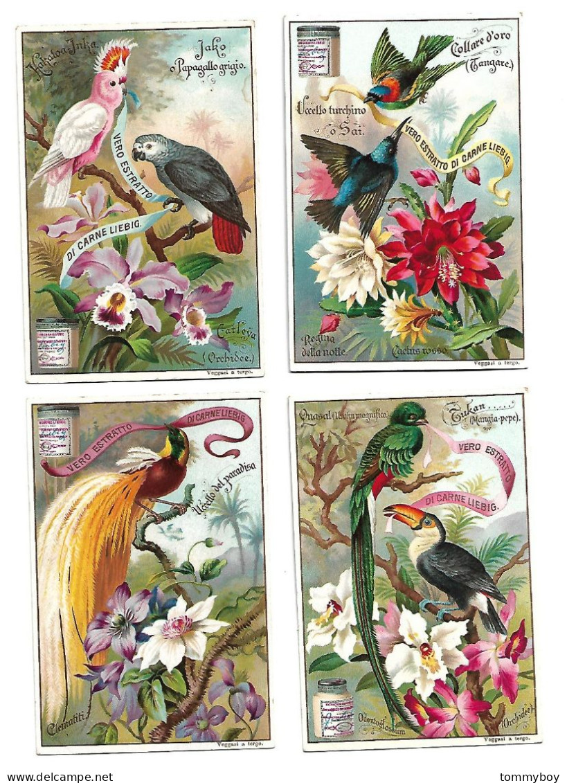 S 540, Liebig 6 Cards, Oiseaux Et Fleures Exotiques, Allemagne (  (ref B11) - Liebig