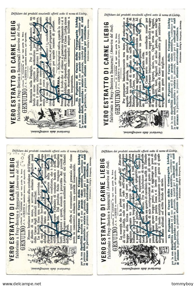 S 540, Liebig 6 Cards, Oiseaux Et Fleures Exotiques, Allemagne (  (ref B11) - Liebig