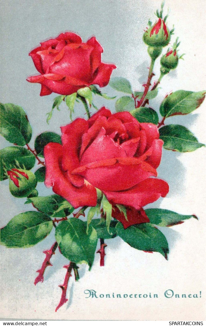 FLEURS Vintage Carte Postale CPSMPF #PKG011.FR - Flowers