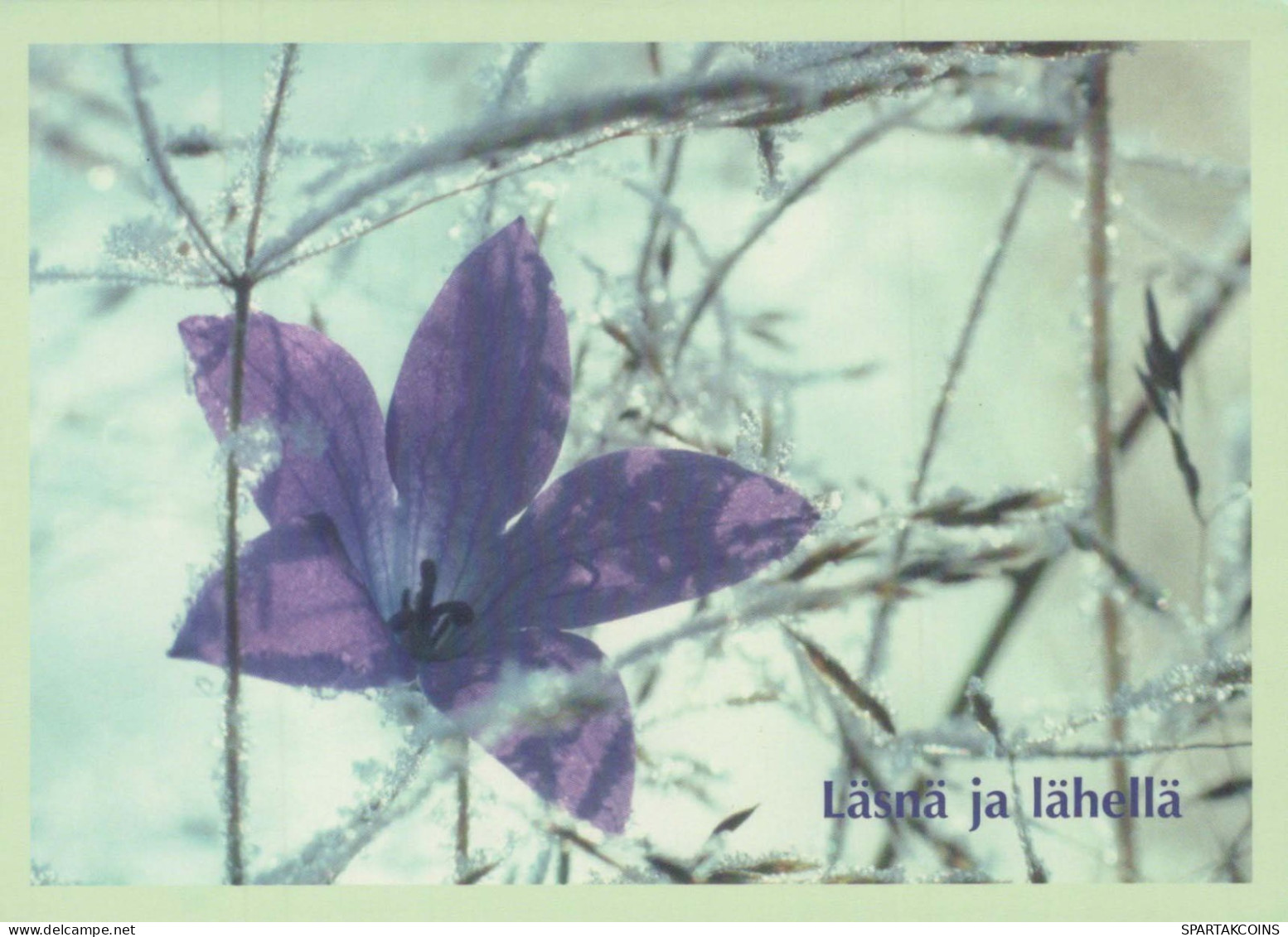 FLEURS Vintage Carte Postale CPSM #PBZ775.FR - Blumen