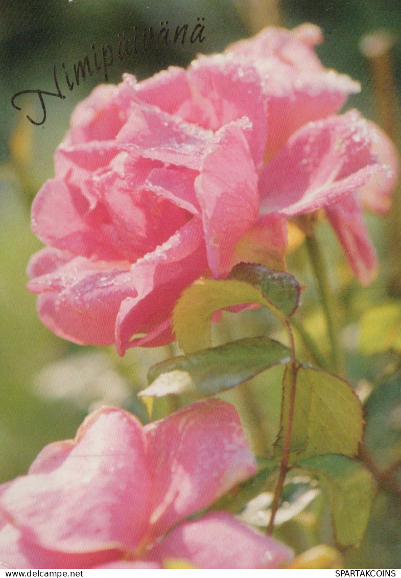 FLEURS Vintage Carte Postale CPSM #PBZ233.FR - Fleurs