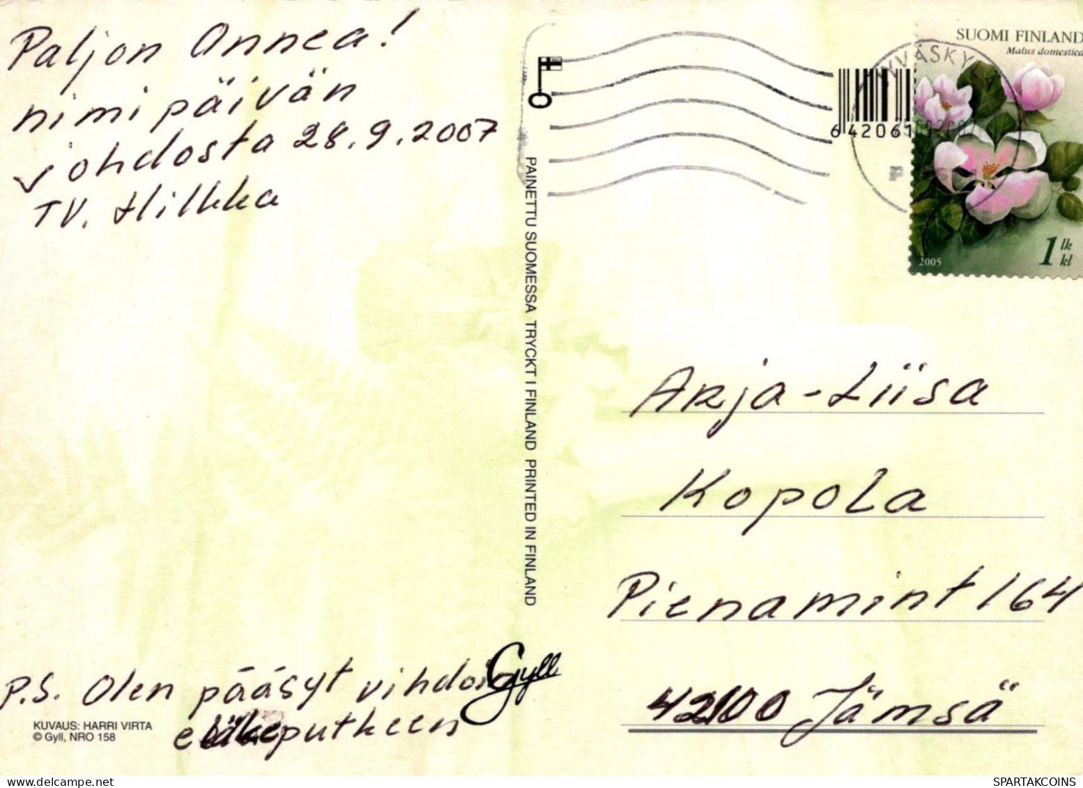 FLEURS Vintage Carte Postale CPSM #PBZ113.FR - Fleurs