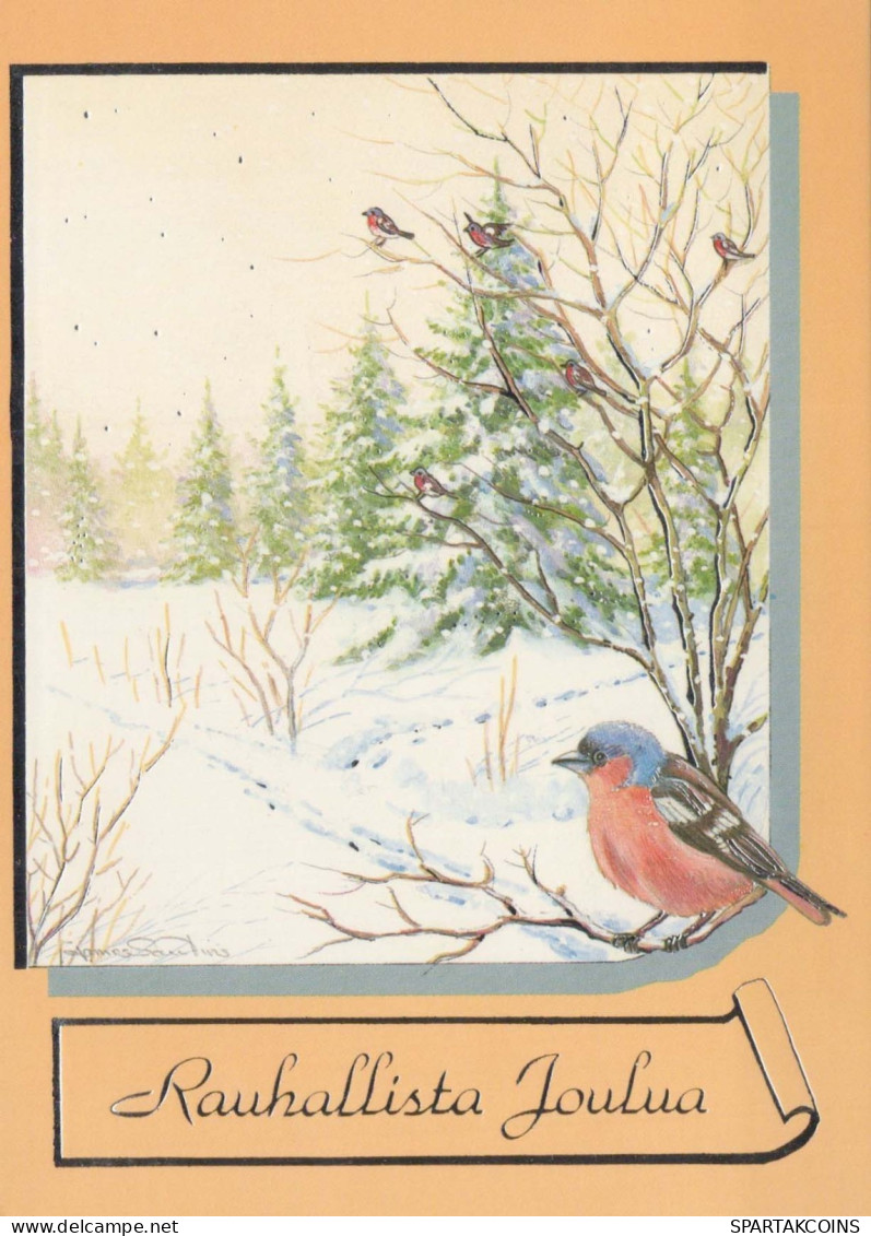 OISEAU Animaux Vintage Carte Postale CPSM #PBR522.FR - Vögel