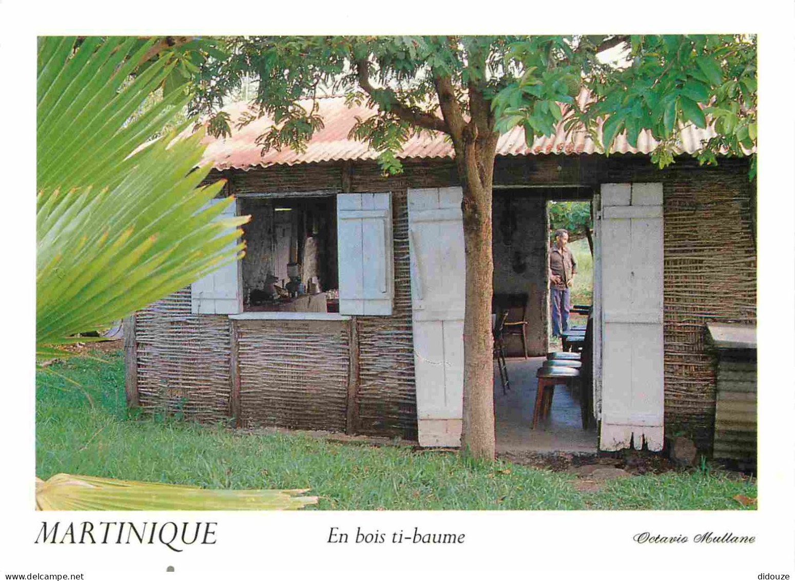 Martinique - Case Du Sud En Bois Ti-baume Tressé - Photographie Par Octario.Hullane - CPM - Voir Scans Recto-Verso - Other & Unclassified