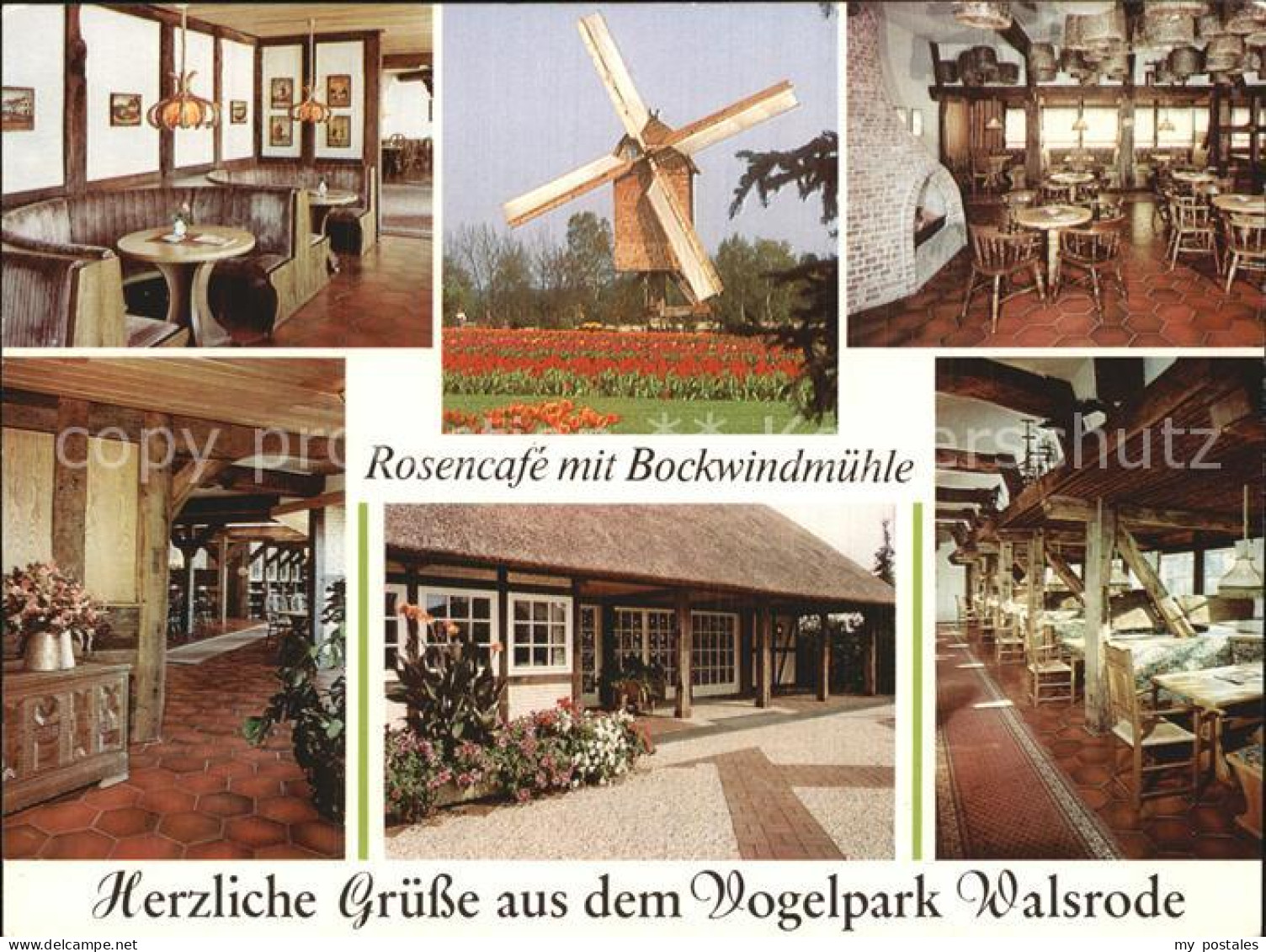 72504382 Walsrode Lueneburger Heide Rosencafe Mit Bockwindmuehle Gastraeume Alte - Walsrode