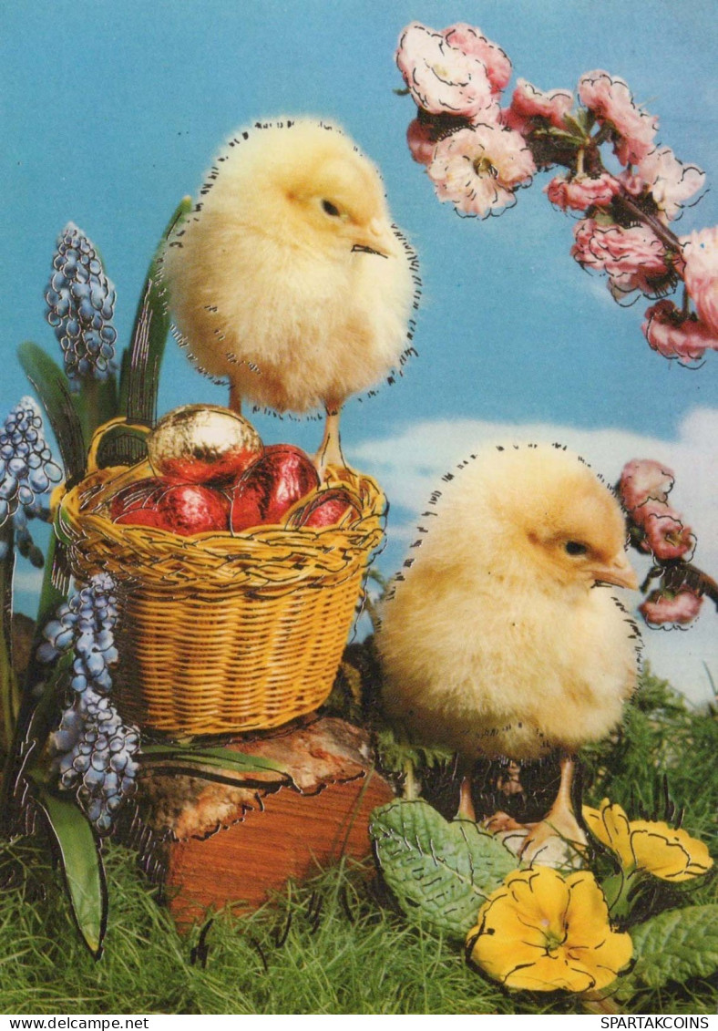 PÂQUES POULET ŒUF Vintage Carte Postale CPSM #PBO700.FR - Pâques