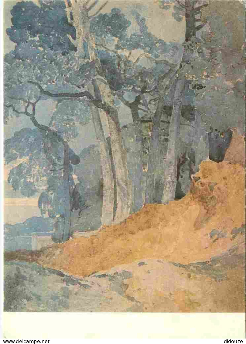 Art - Peinture - John Sell Cotman - Study Of Trees, Harrow - Middlesex 1805 - Whitworth Art Gallery - University Of Manc - Paintings