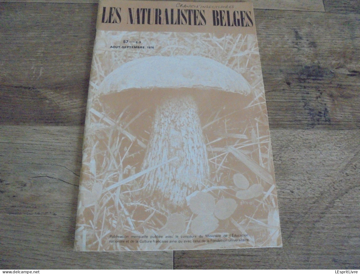 LES NATURALISTES BELGES N° 8 - 9  Année 1976 Régionalisme Clé Détermination Insectivores Champignon Russule Botanique - Belgique