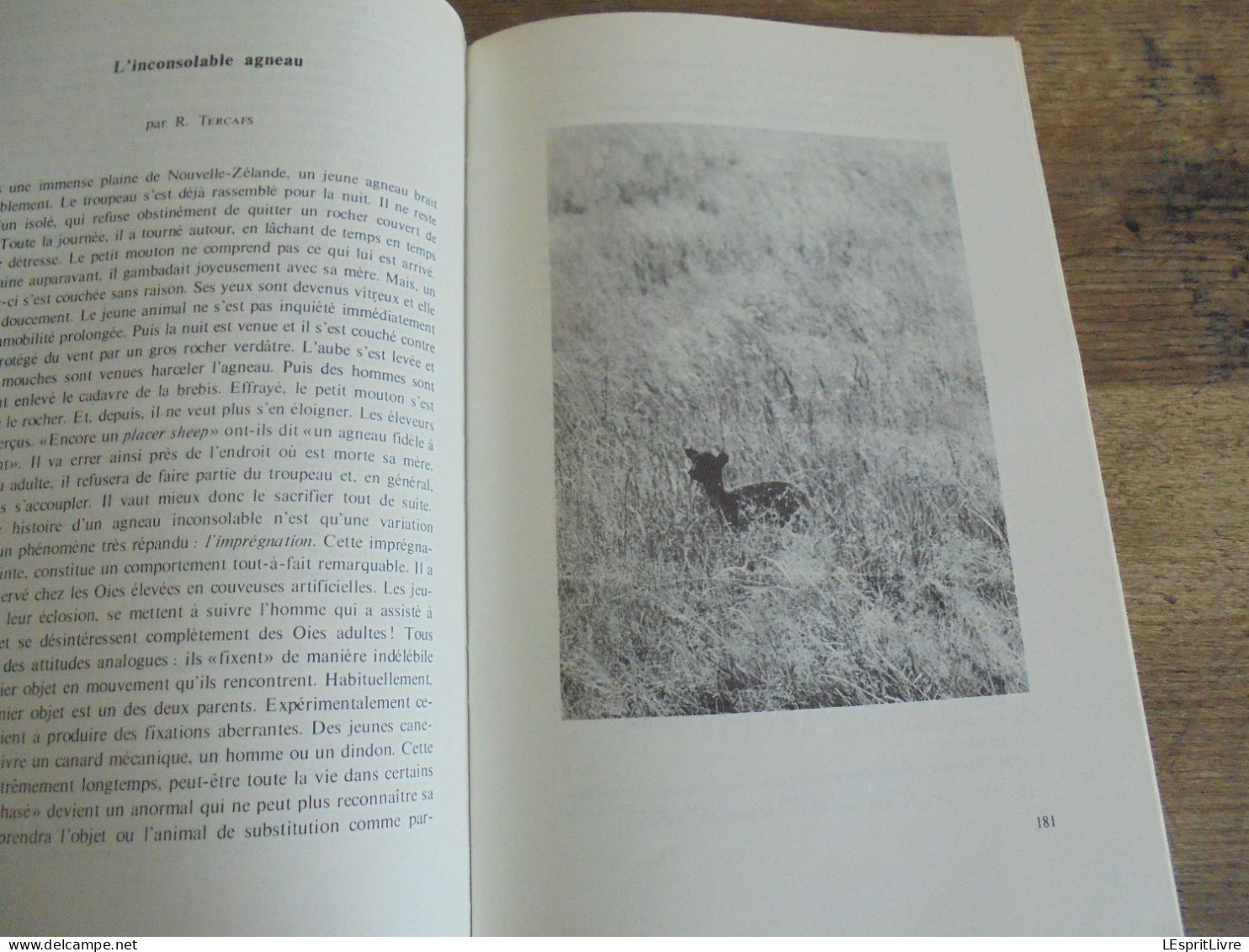 LES NATURALISTES BELGES N° 8 - 9  Année 1976 Régionalisme Clé Détermination Insectivores Champignon Russule Botanique - Belgium