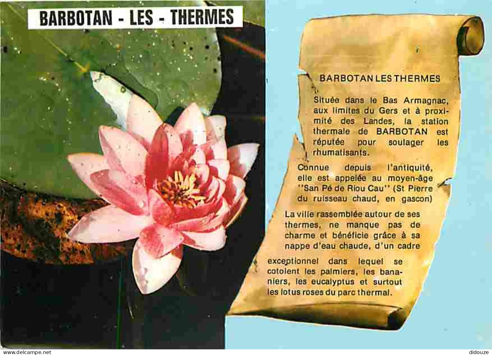 32 - Barbotan Les Thermes - Les Lotus - Fleurs - Flamme Postale De Barbotan Les Thermes - CPM - Voir Scans Recto-Verso - Barbotan