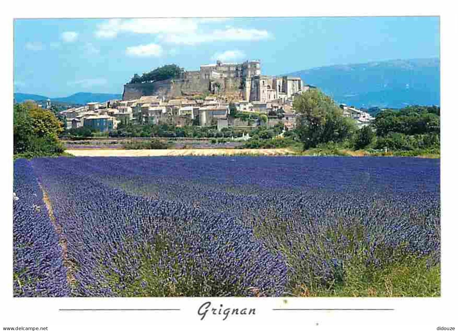 26 - Grignan - Vue Générale - Le Château - Champs De Lavande - CPM - Voir Scans Recto-Verso - Grignan