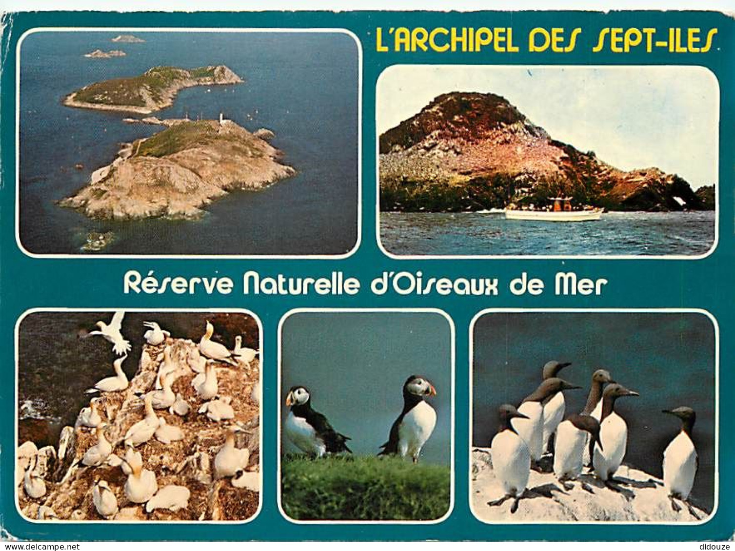 22 - Les Sept Iles - Réserve Naturelle D'Oiseaux De Mer - Multivues - Macareux Moines - Guillemots - CPM - Voir Scans Re - Sonstige & Ohne Zuordnung