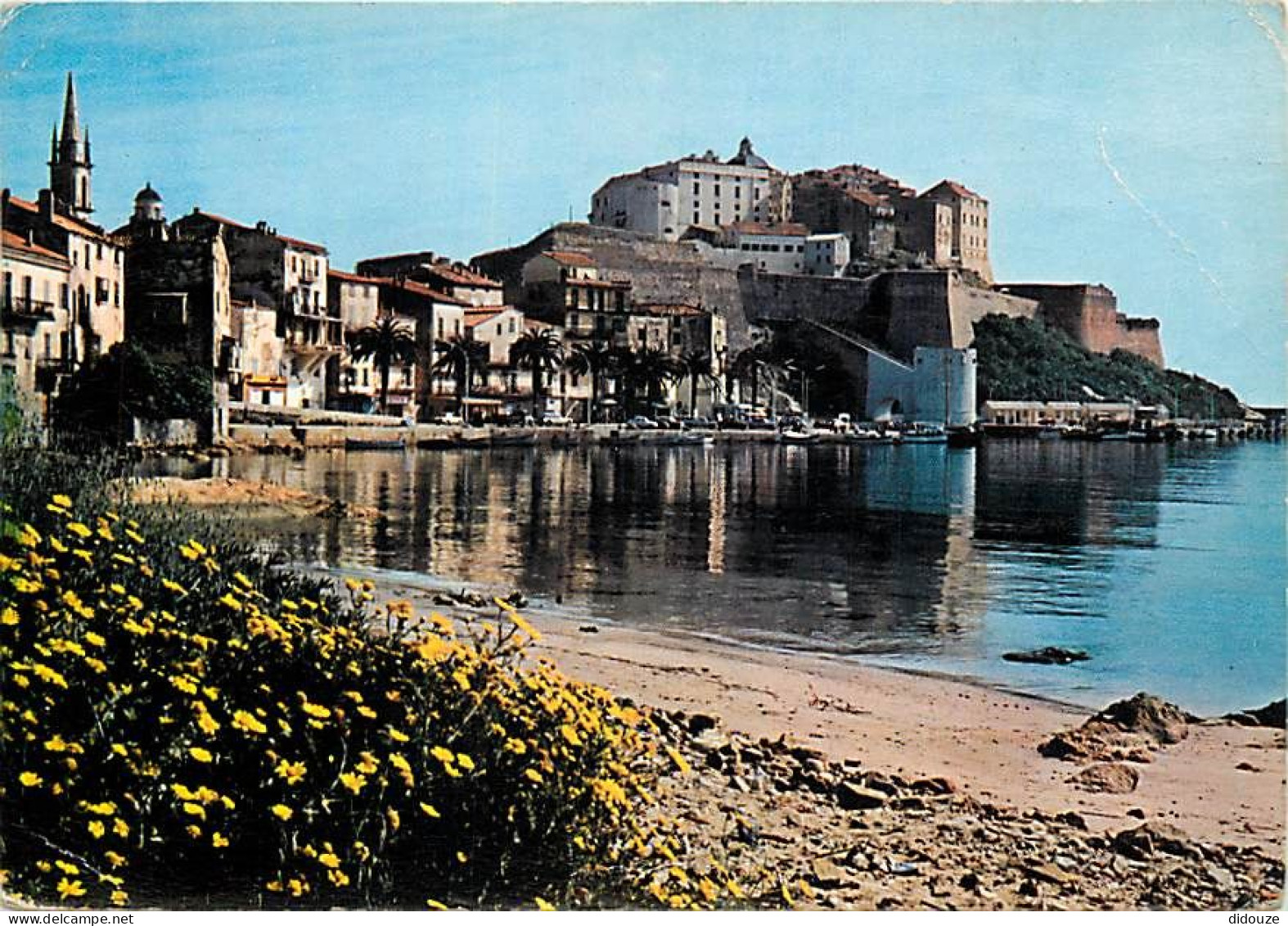 20 - Calvi - Le Port Et La Citadelle - Fleurs - Etat Légères Froissures Visibles - CPM - Voir Scans Recto-Verso - Calvi