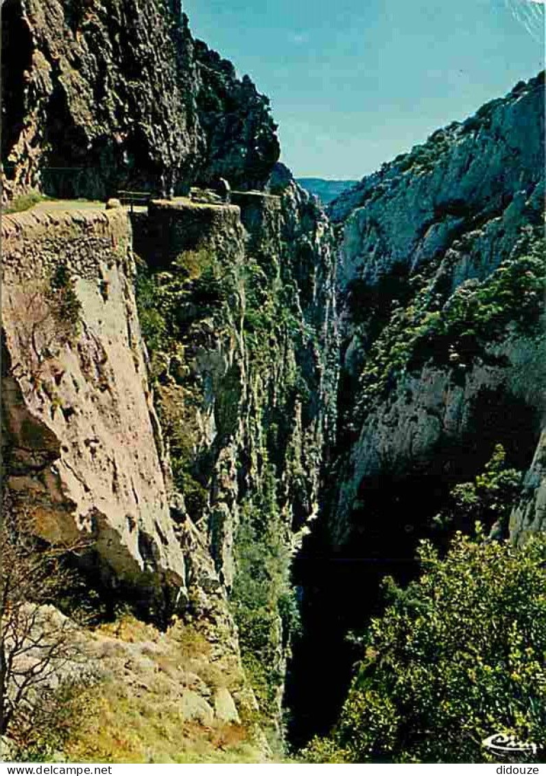 11 - Aude - Les Gorges De Galamaus - Pointe Du Vent - CPM - Voir Scans Recto-Verso - Other & Unclassified