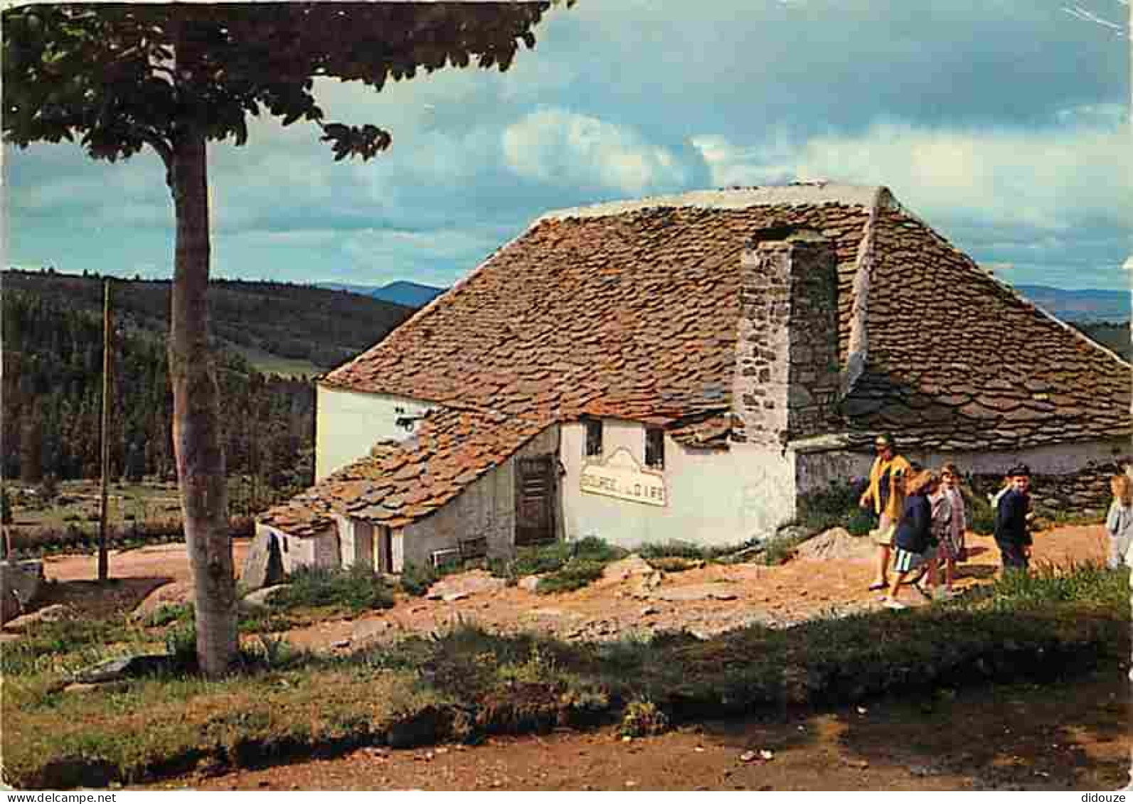 07 - Le Mont Gerbier De Joncs - La Ferme De La Loire - CPM - Voir Scans Recto-Verso - Other & Unclassified