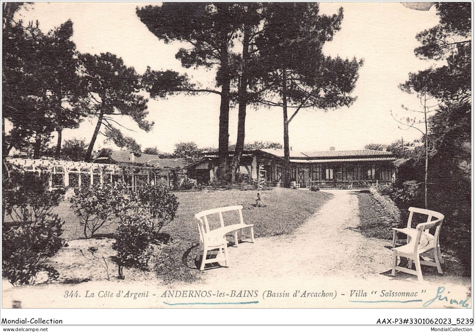 AAXP3-33-0238 - ANDERNOS-LES-BAINS - Villa Saisonnac - Andernos-les-Bains
