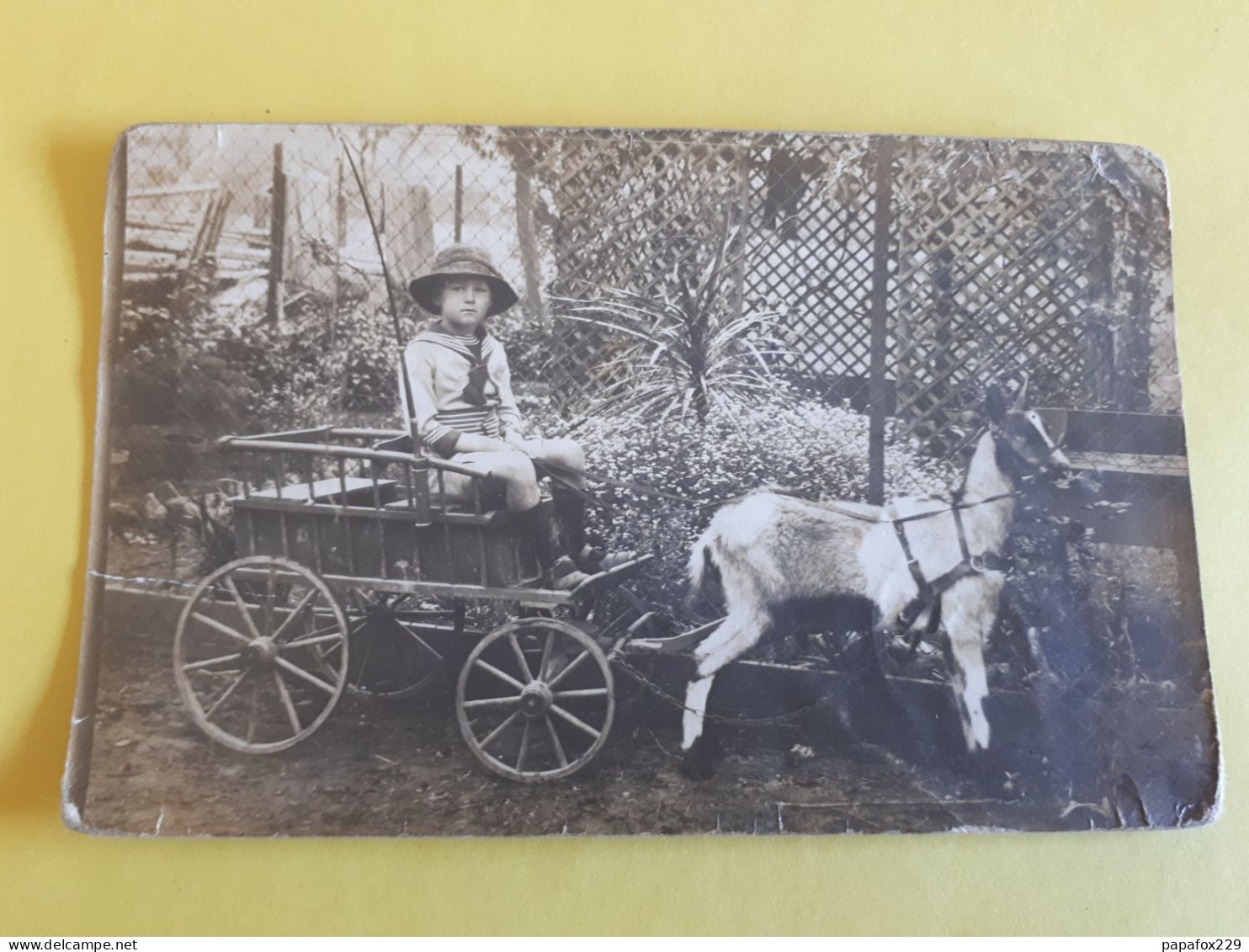 Voiture à Chèvre Enfant 1915 Mulhouse Bourtzwiller - Mulhouse