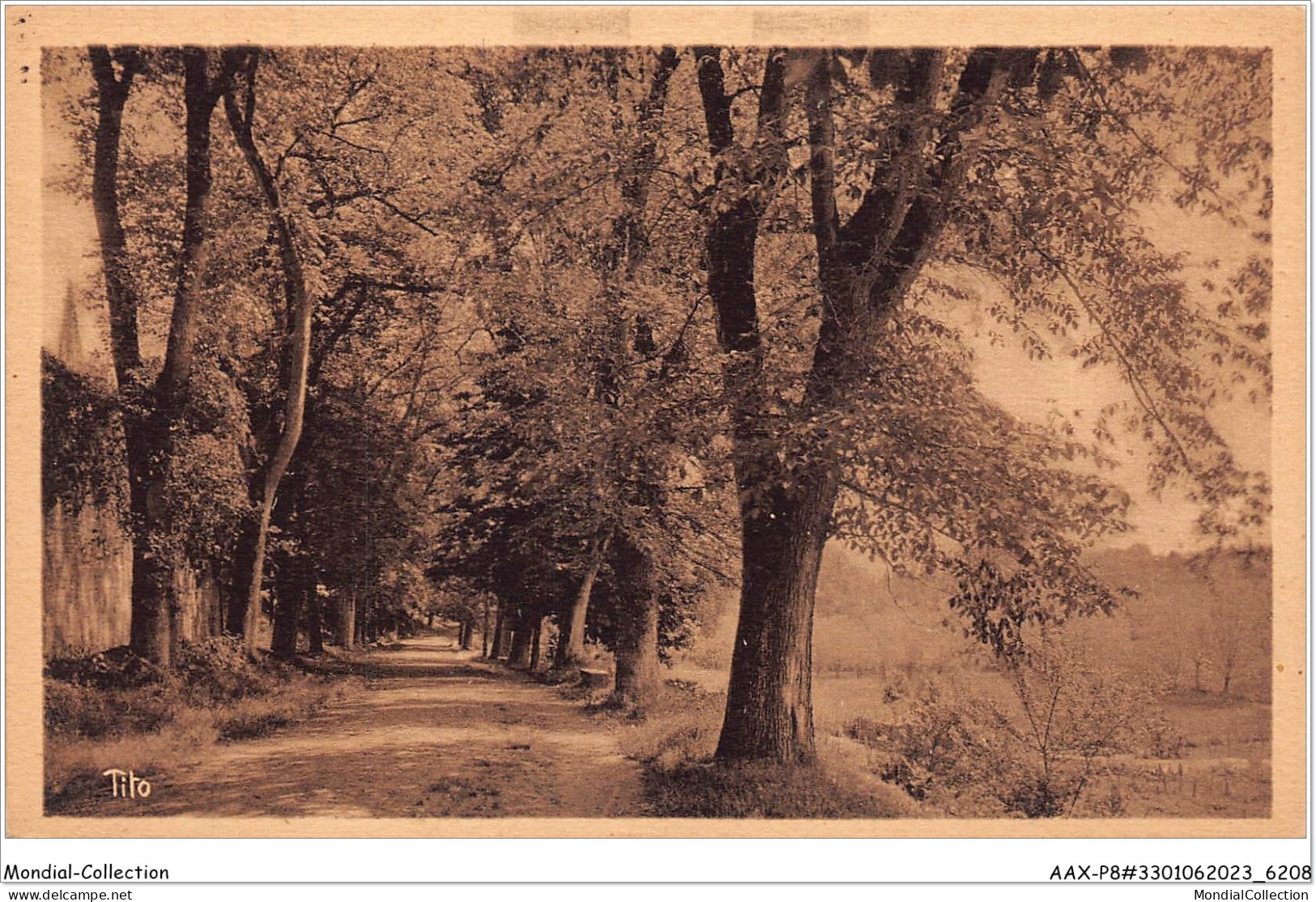 AAXP8-33-0669 - BAZAS - La Promenade De La BrèChe - Bazas