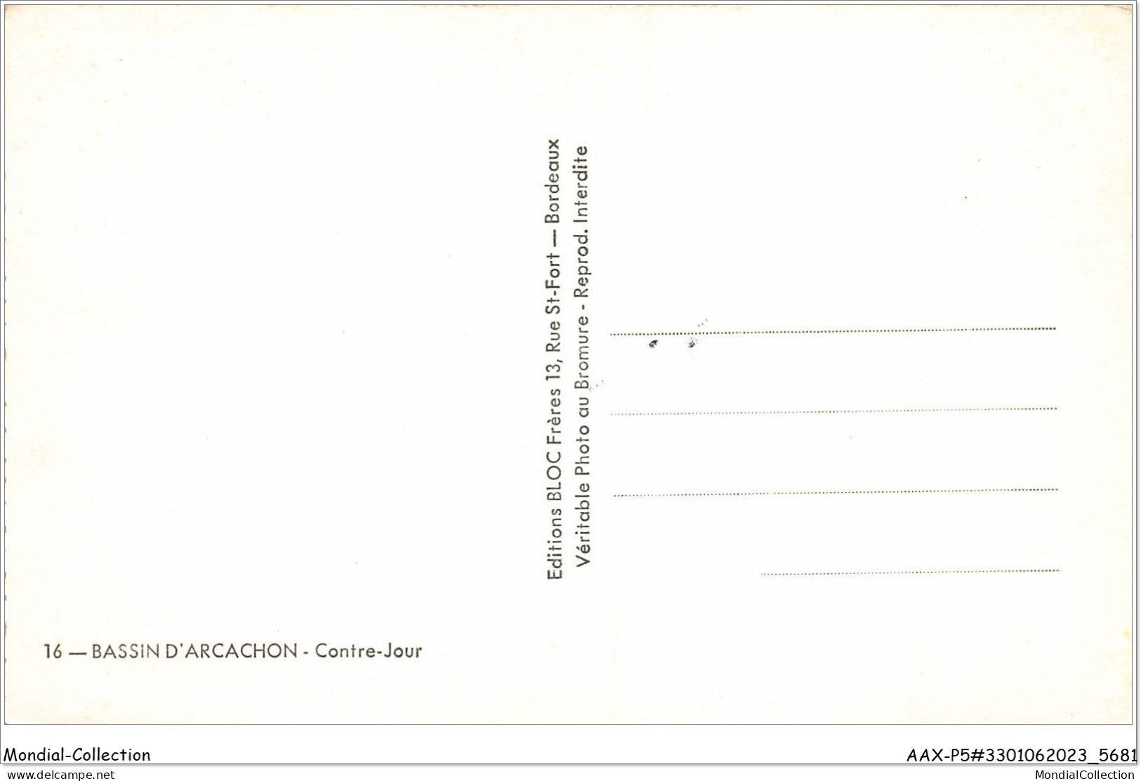 AAXP5-33-0407 - Bassin ARCACHON - Contre Jour - Arcachon