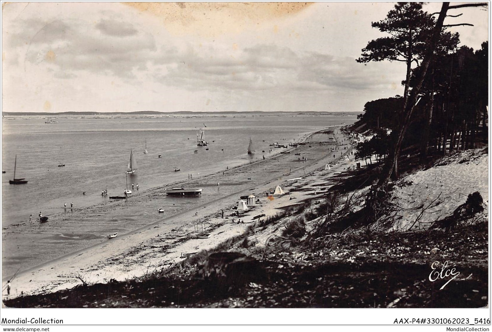 AAXP4-33-0326 - ARCACHON -Le Parc Des Abatilles Vers ARCACHON - Arcachon