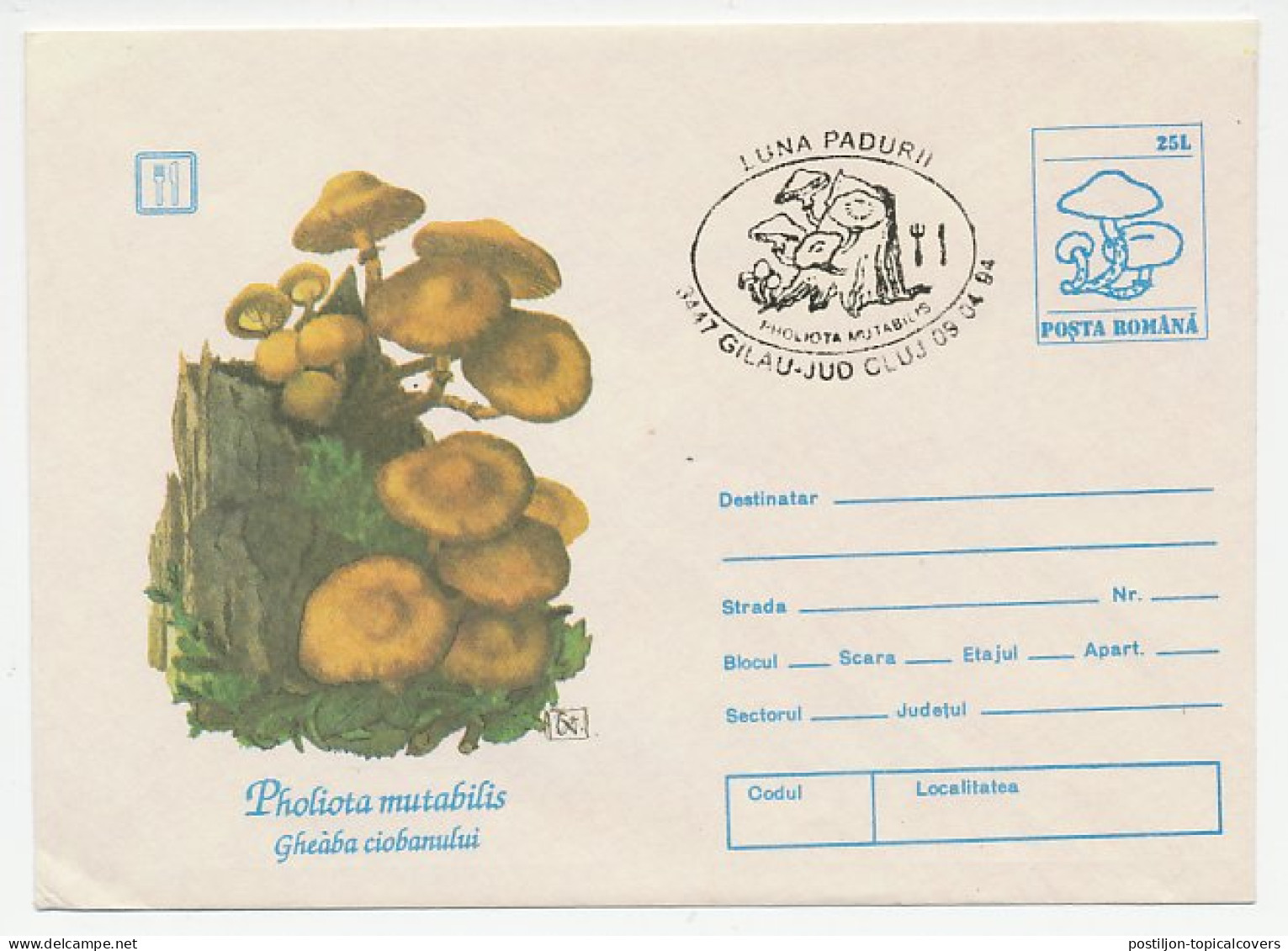 Postal Stationery Romania 1994 Mushroom - Pilze