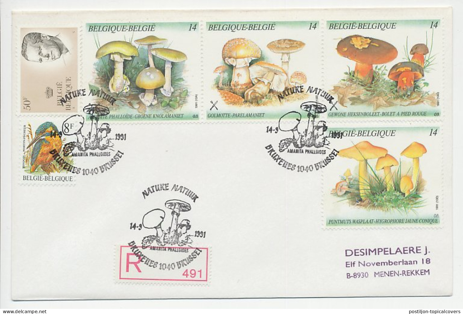 Registered Cover / Postmark Belgium 1991 Mushroom - Pilze