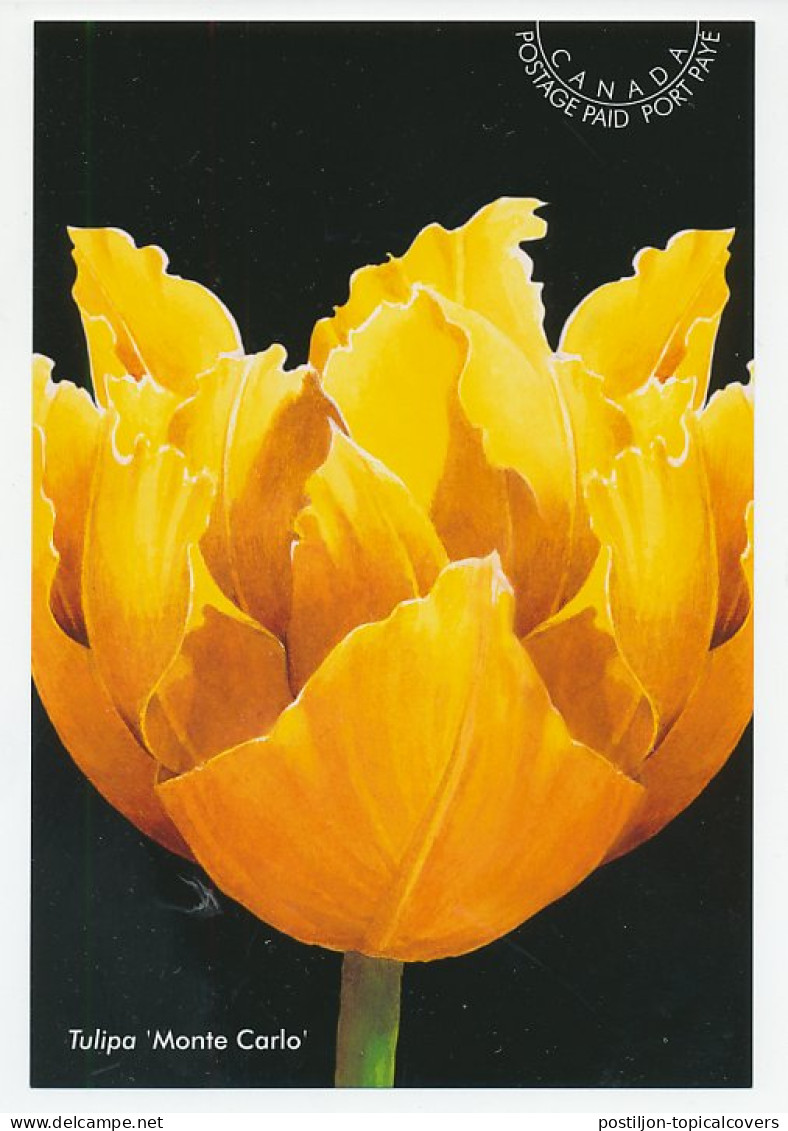 Postal Stationery Canada 2002 Flower - Tulip - Monte Carlo - Other & Unclassified