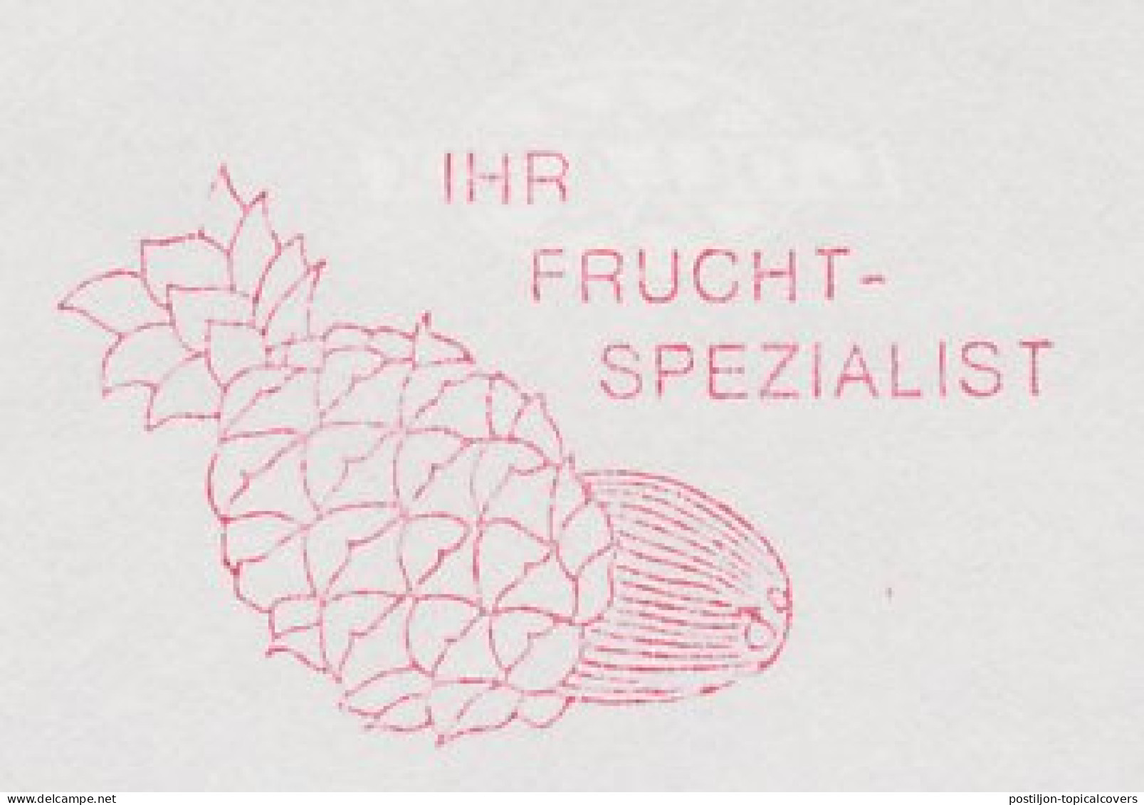 Meter Cut Netherlands 1994 Pineapple - Fruits