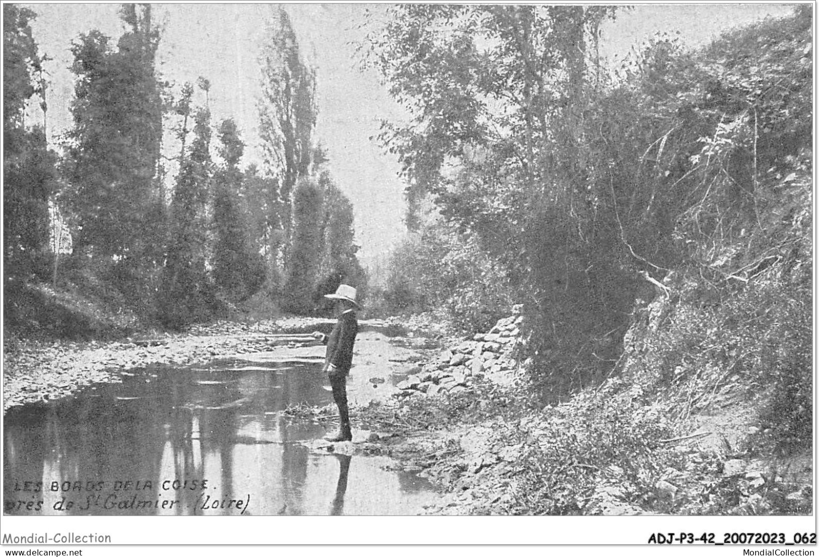 ADJP3-42-0217 - Les Bords De La Loire - Pres De ST-GALMIER  - Montbrison