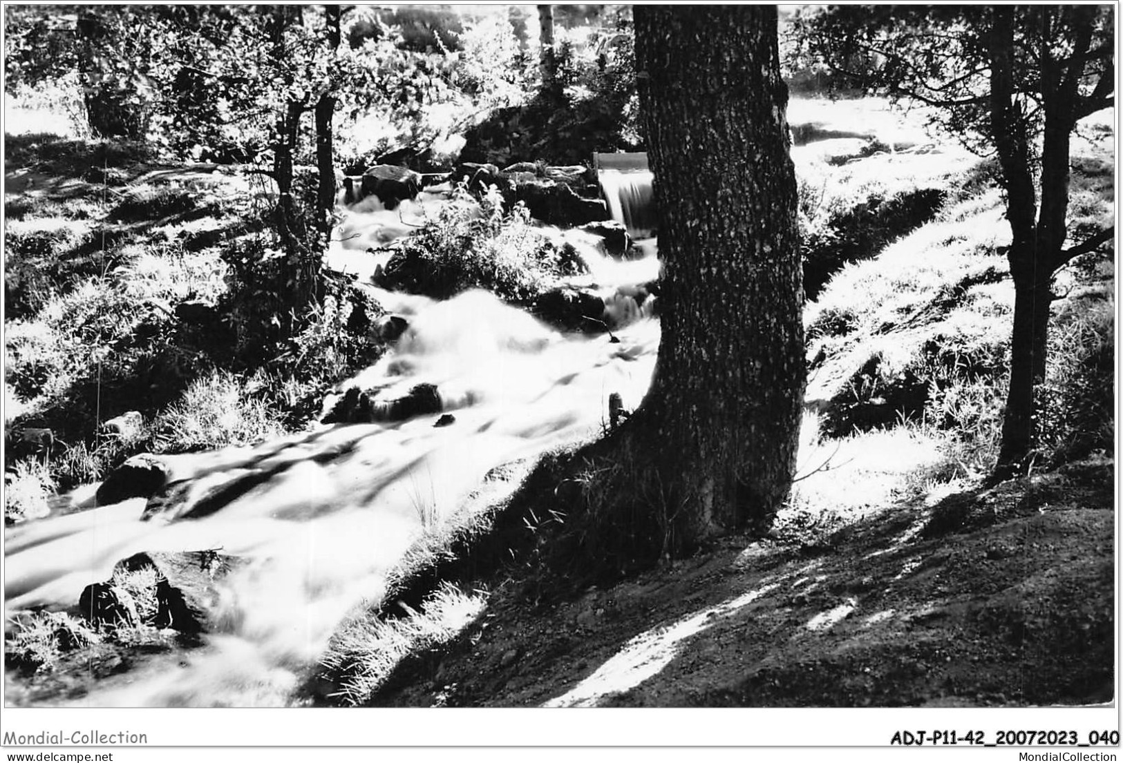 ADJP11-42-0915 - LE CHAMBON SUR LIGNON - Un Joli Coin Du Lignon - Le Chambon Feugerolles