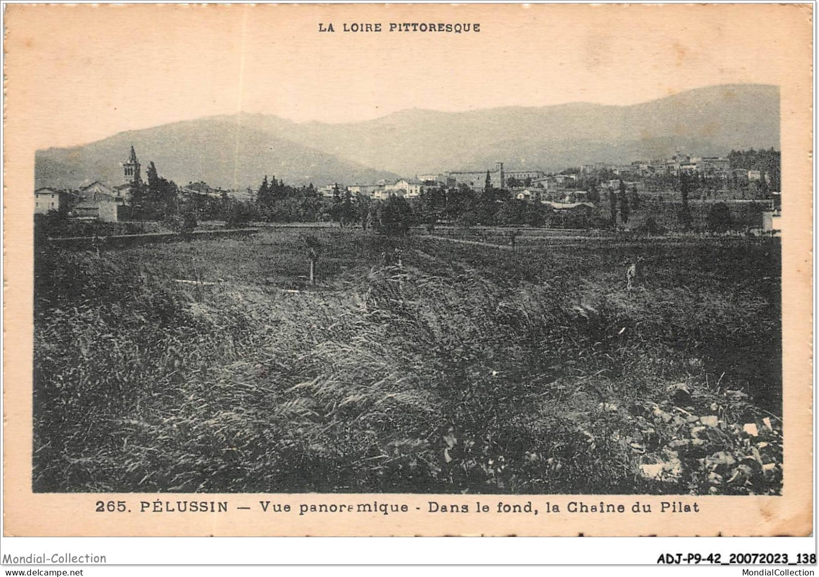 ADJP9-42-0790 - PELUSSIN - Vue Panoramique - Dans Le Fond - La Chaine Du Pilat - Pelussin