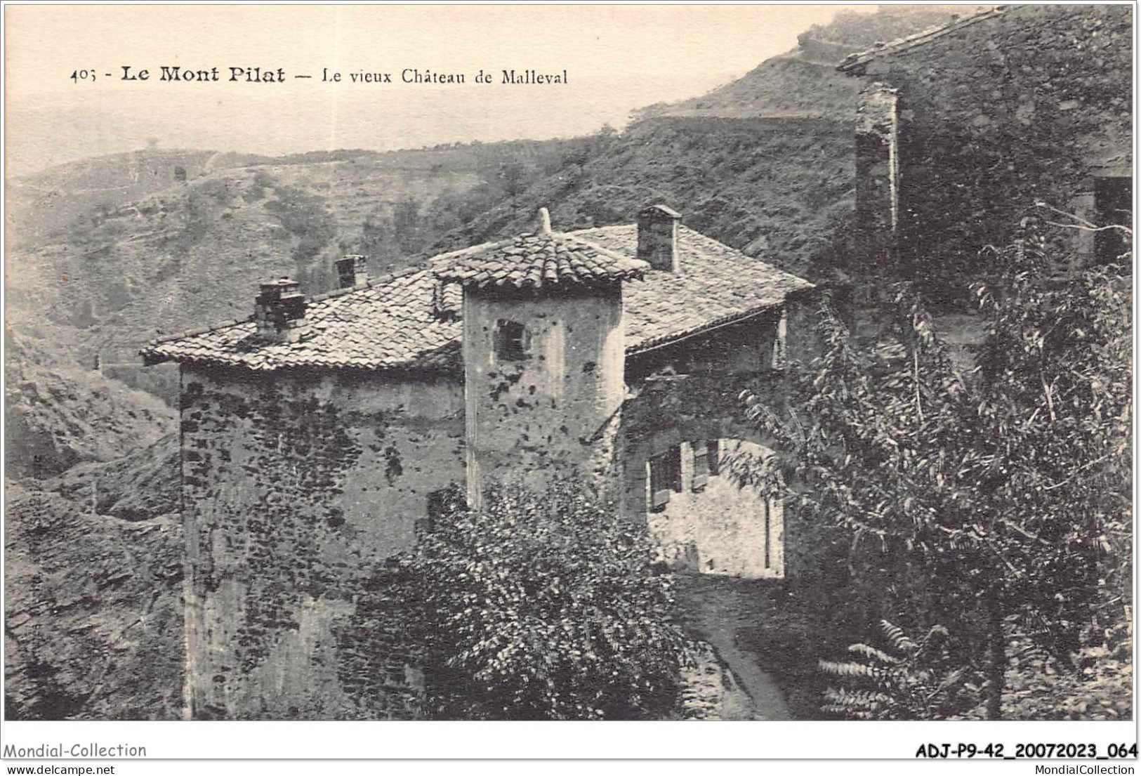 ADJP9-42-0753 - Le MONT-PILAT - Le Vieux Chateau De Malleval - Mont Pilat
