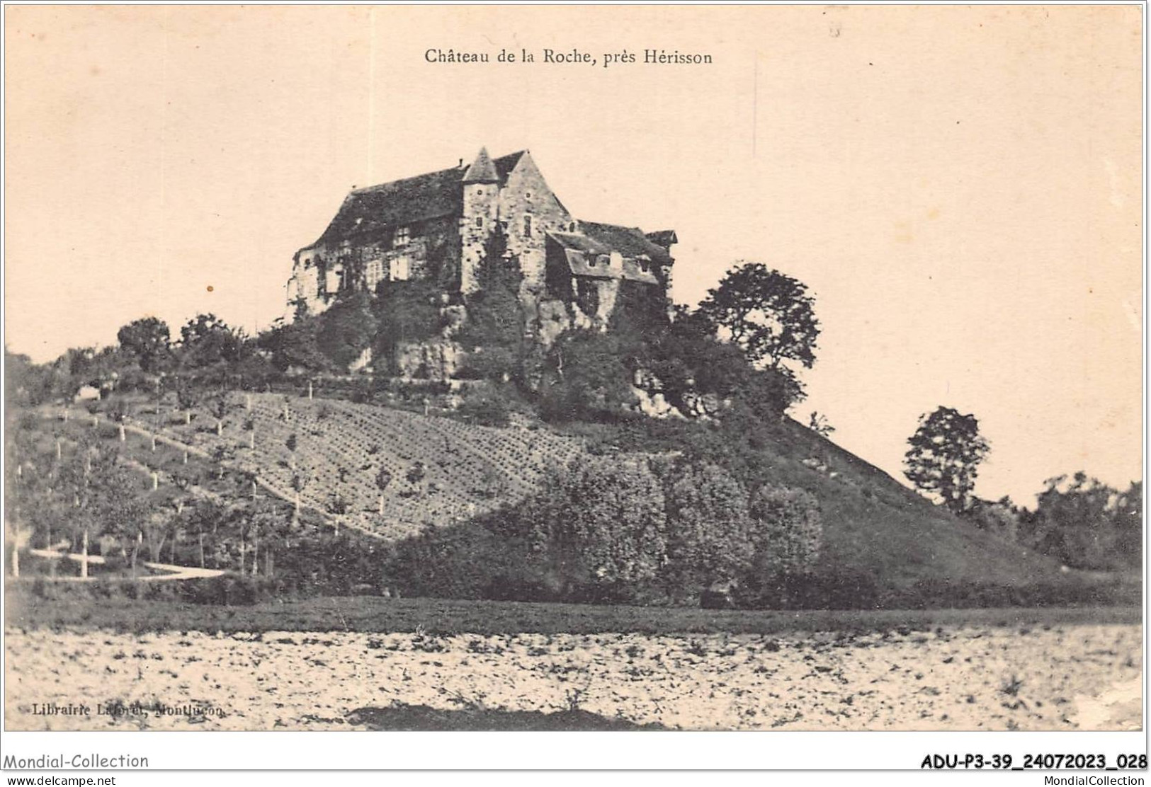 ADUP3-39-0191 - LE HERISSON - Château De La Roche  - Sonstige & Ohne Zuordnung