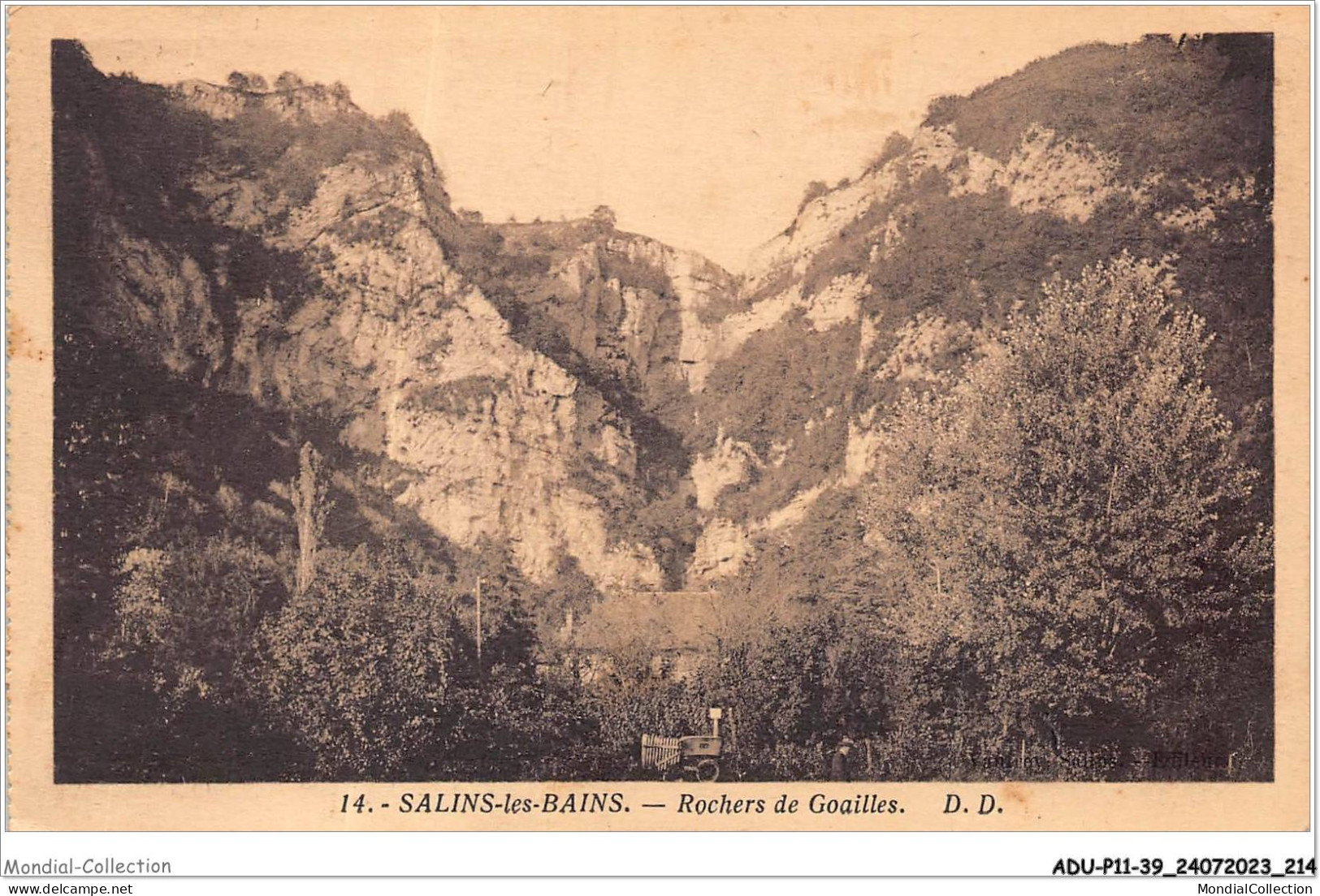 ADUP11-39-1027 - SALINS-LES-BAINS - Rochers De Goailles  - Dole