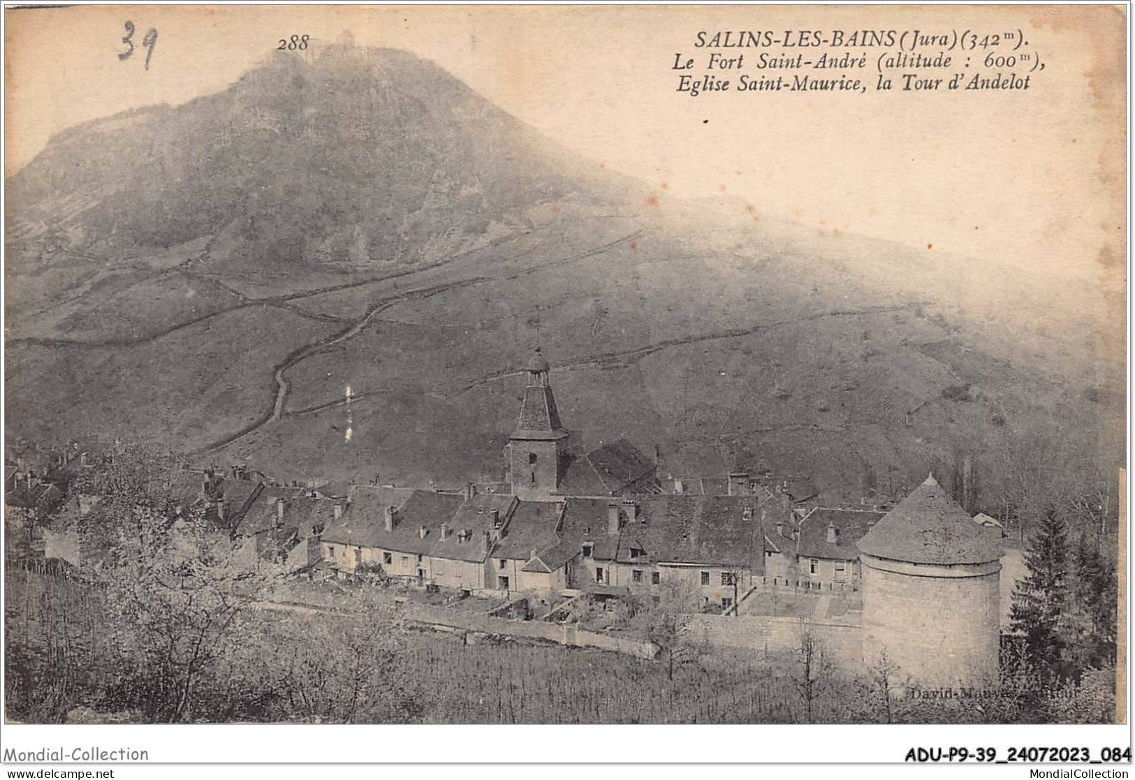 ADUP9-39-0759 - SALINS-LES-BAINS - Le Fort Saint-andré - église Saint-maurice - La Tour D'andelot  - Dole