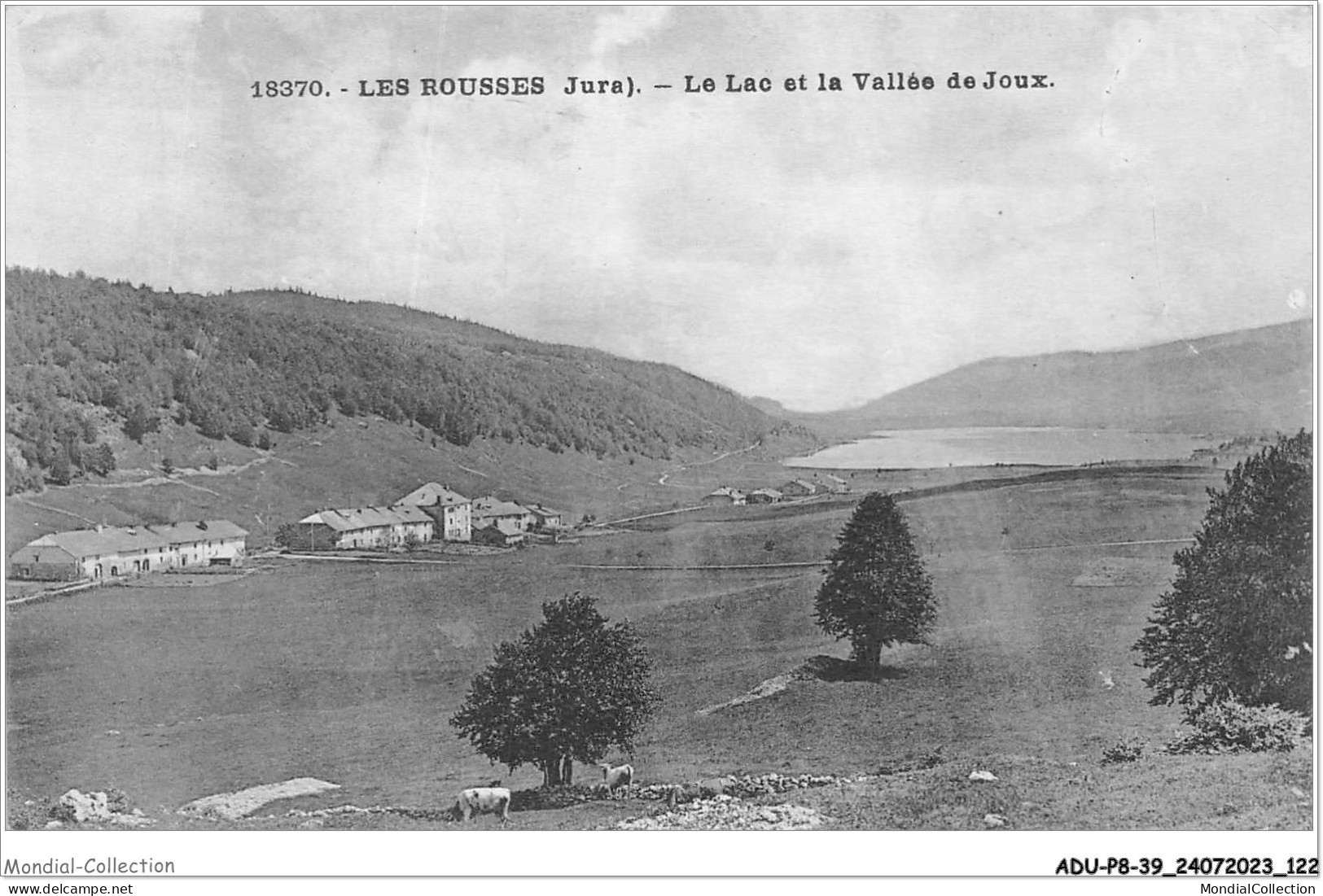 ADUP8-39-0689 - LES ROUSSES - Le Lac Et La Vallée De Joux  - Morez