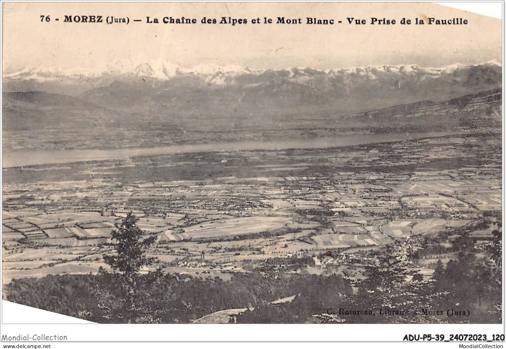 ADUP5-39-0413 - MOREZ - La Chaine Des Alpes Et Le Mont Blanc - Vue Prise De La Faucille  - Morez
