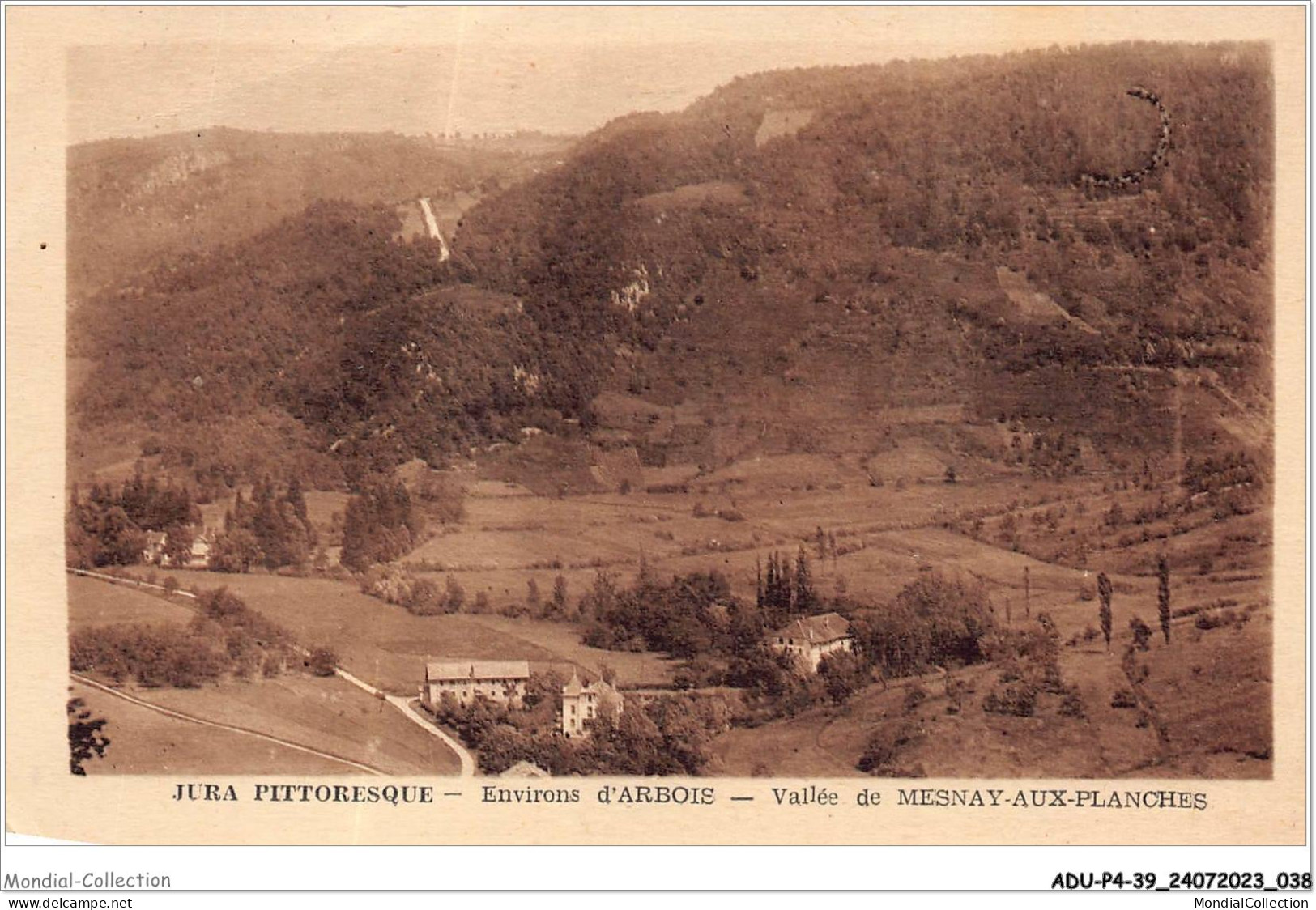 ADUP4-39-0291 - MESNAY-AUX-PLANCHES - Vallée De Mesnay  - Arbois