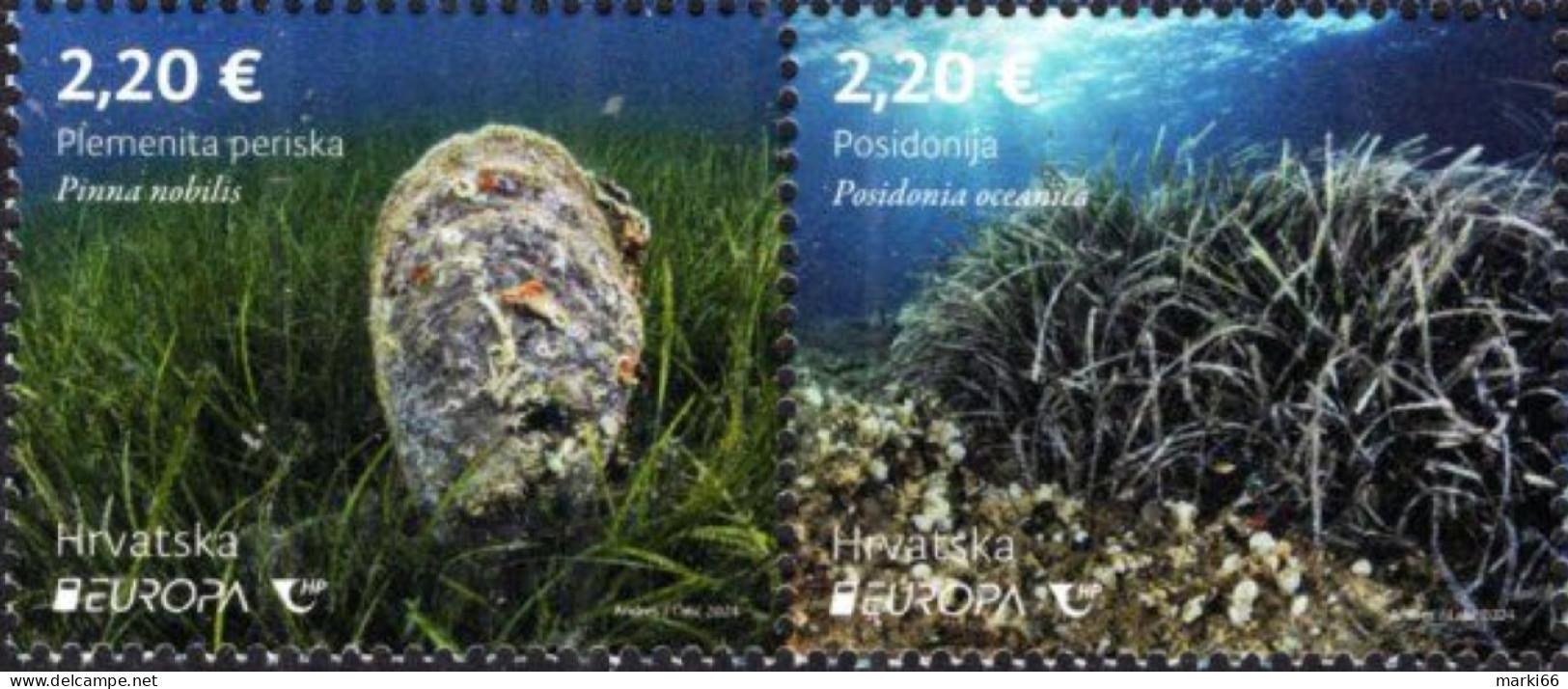 Croatia - 2024 - Europa CEPT - Underwater Fauna And Flora - Mint Stamp Set - Croazia