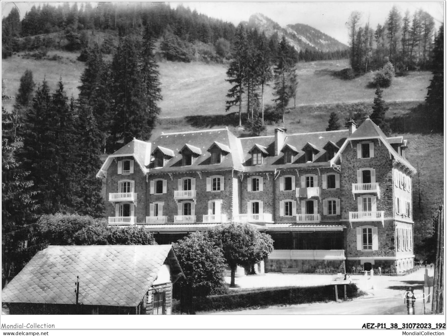 AEZP11-38-1019 - ST-PIERRE-DE-CHARTREUSE - La Diat - L'hôtel Familial - Chartreuse