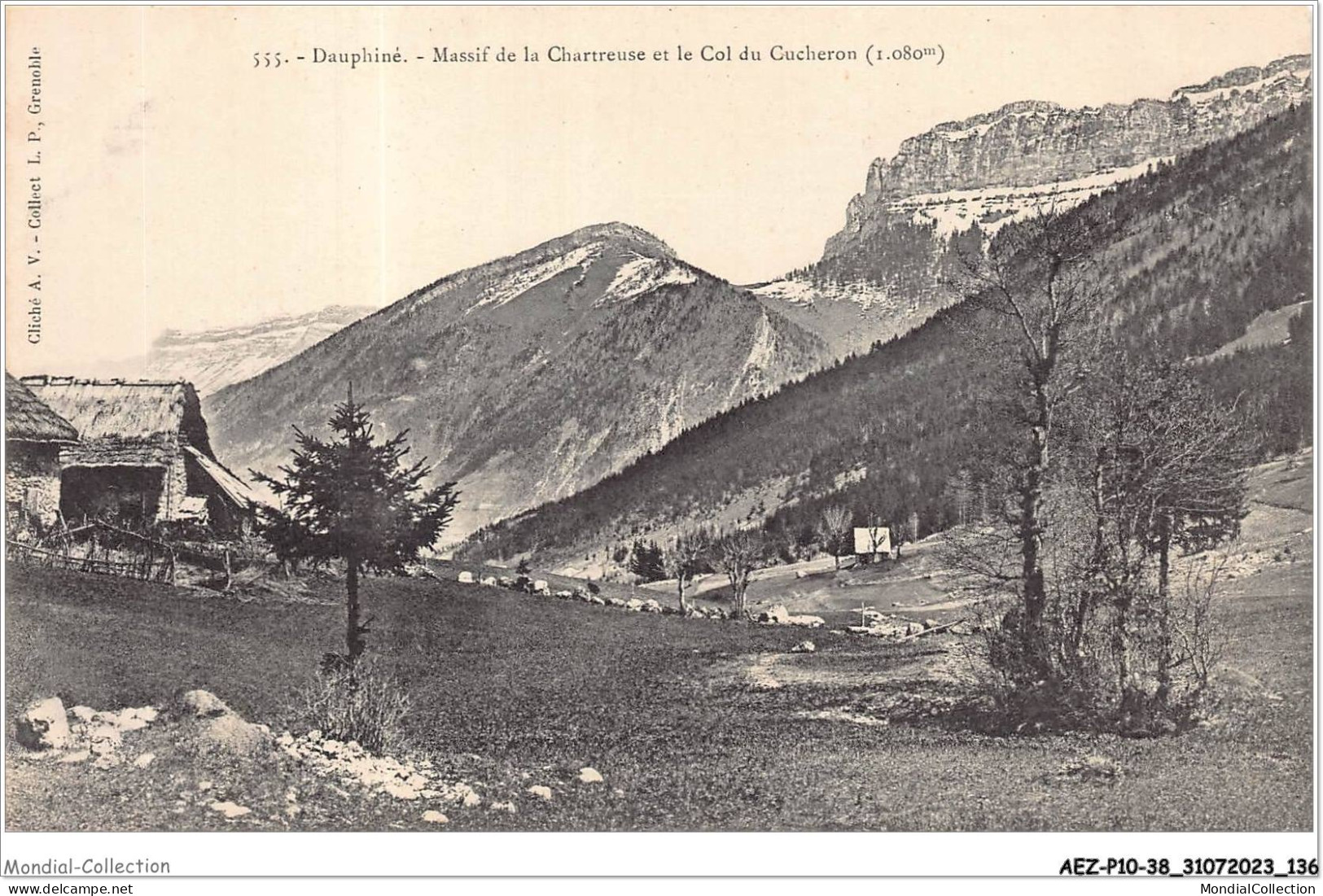 AEZP10-38-0903 - CHARTREUSE - Massif Et Le Col Du Cucheron  - Chartreuse