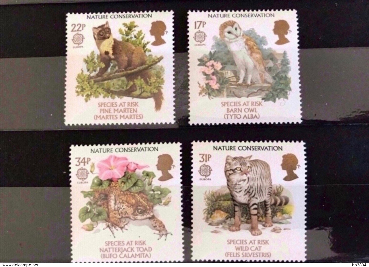 ANGLETERRE 1986 EUROPA GB 4 V Neuf ** MNH Owl Birds Wild Cat Frog GREAT BRITAIN - Other & Unclassified