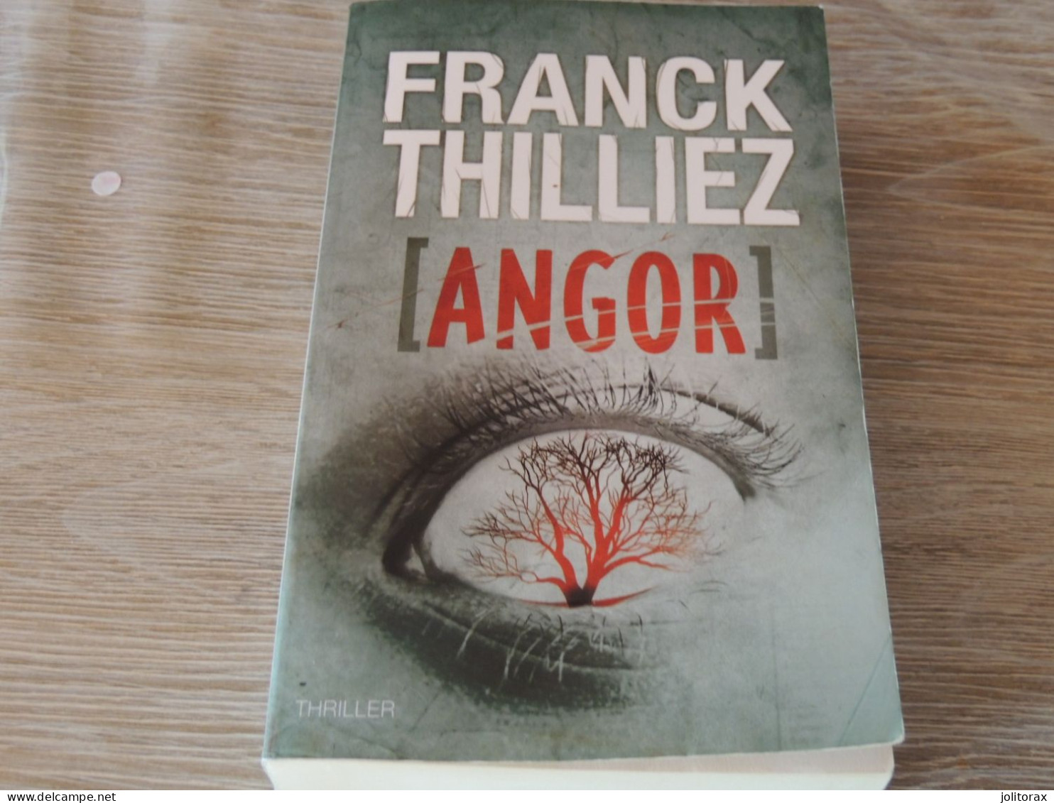 Angor (Franck Thilliez) - Otros & Sin Clasificación
