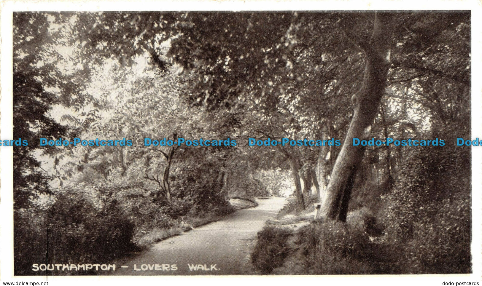 R097467 Southampton. Lovers Walk. Sargeant Bros - World