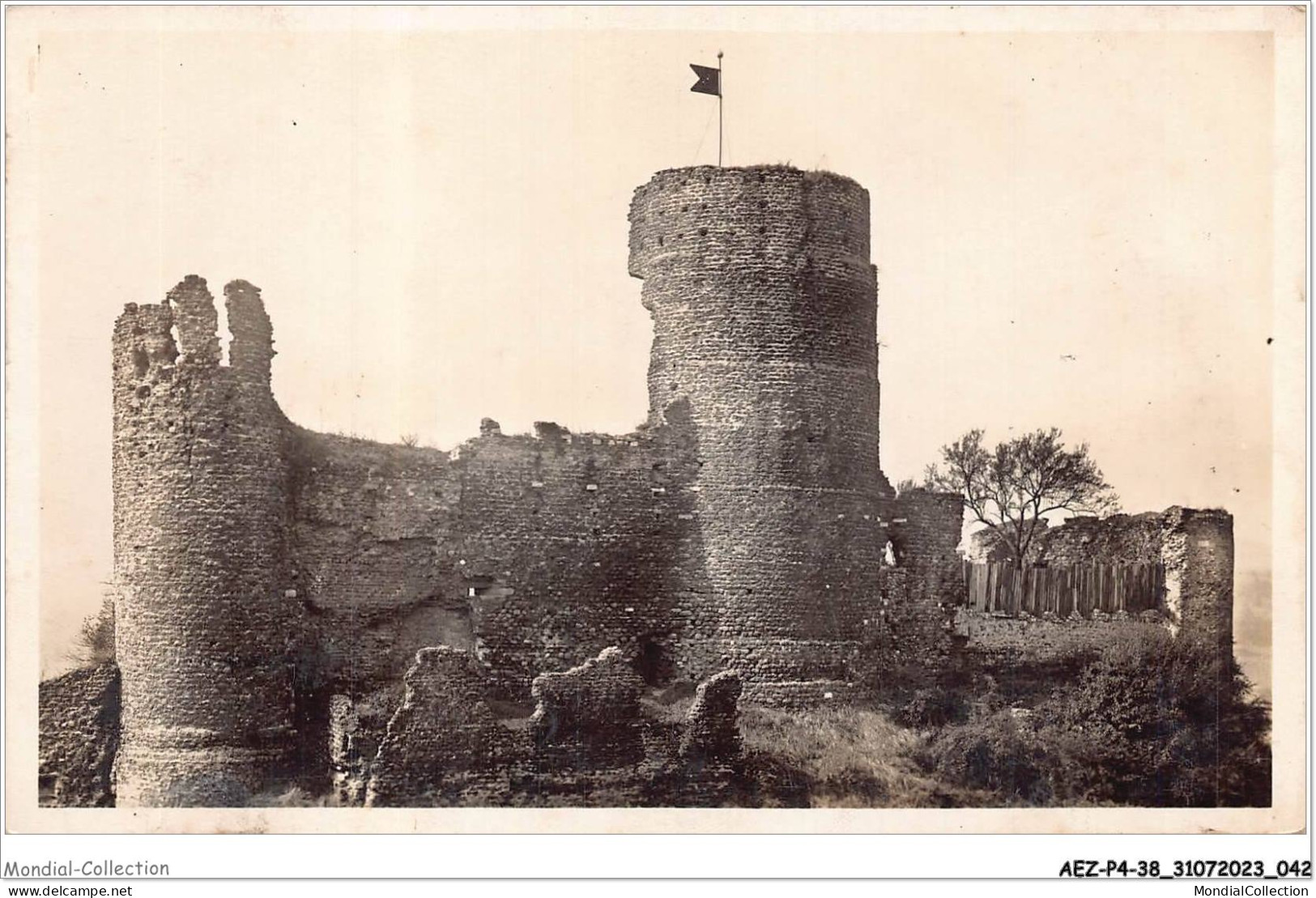 AEZP4-38-0310 - VIENNE - Ruines Du Fort De La Batie - Vienne