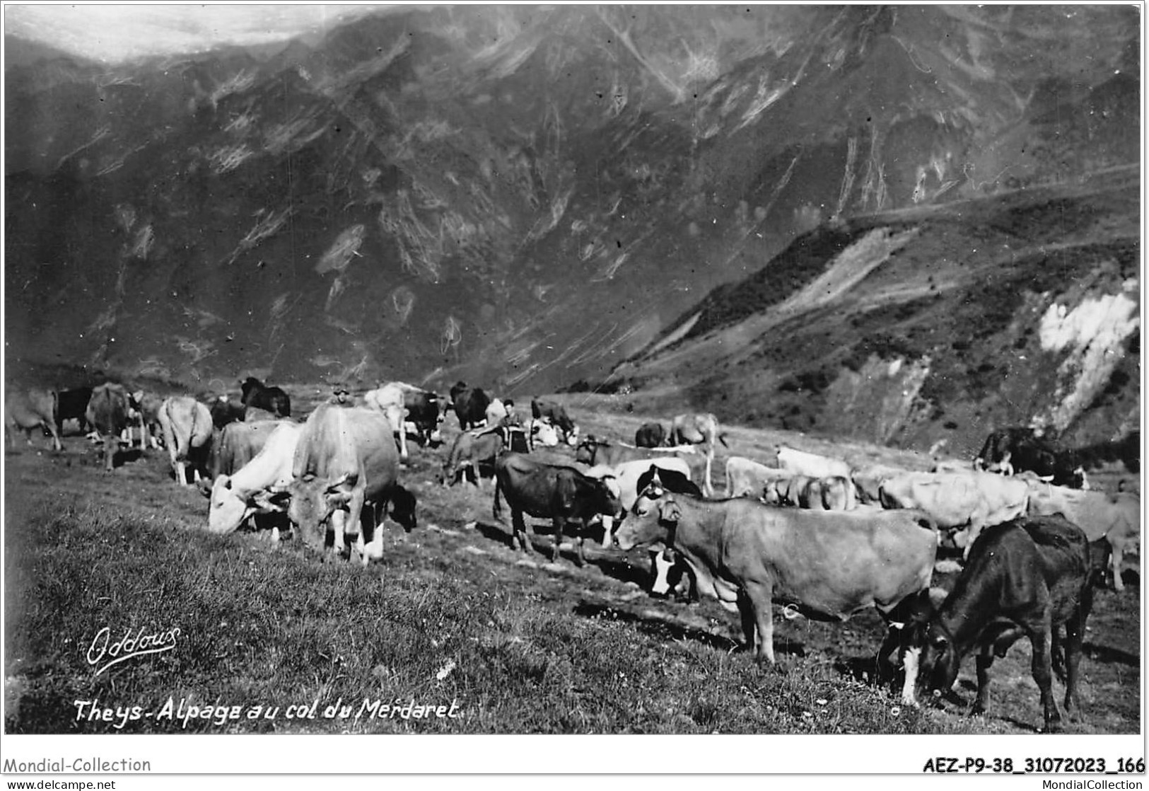 AEZP9-38-0823 - THEYS - Alpage Au Col Du Merdaret  - Theys
