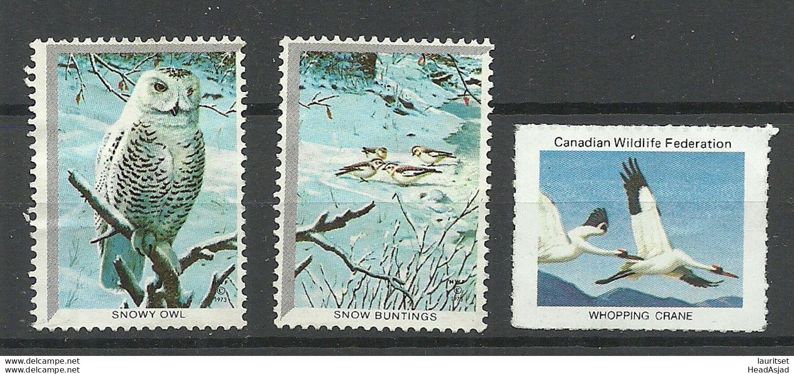 3 Vignetten Birds V√∂gel Owl Eule Etc. Canada Canadian Wildlife Federation Etc. Unused - Owls